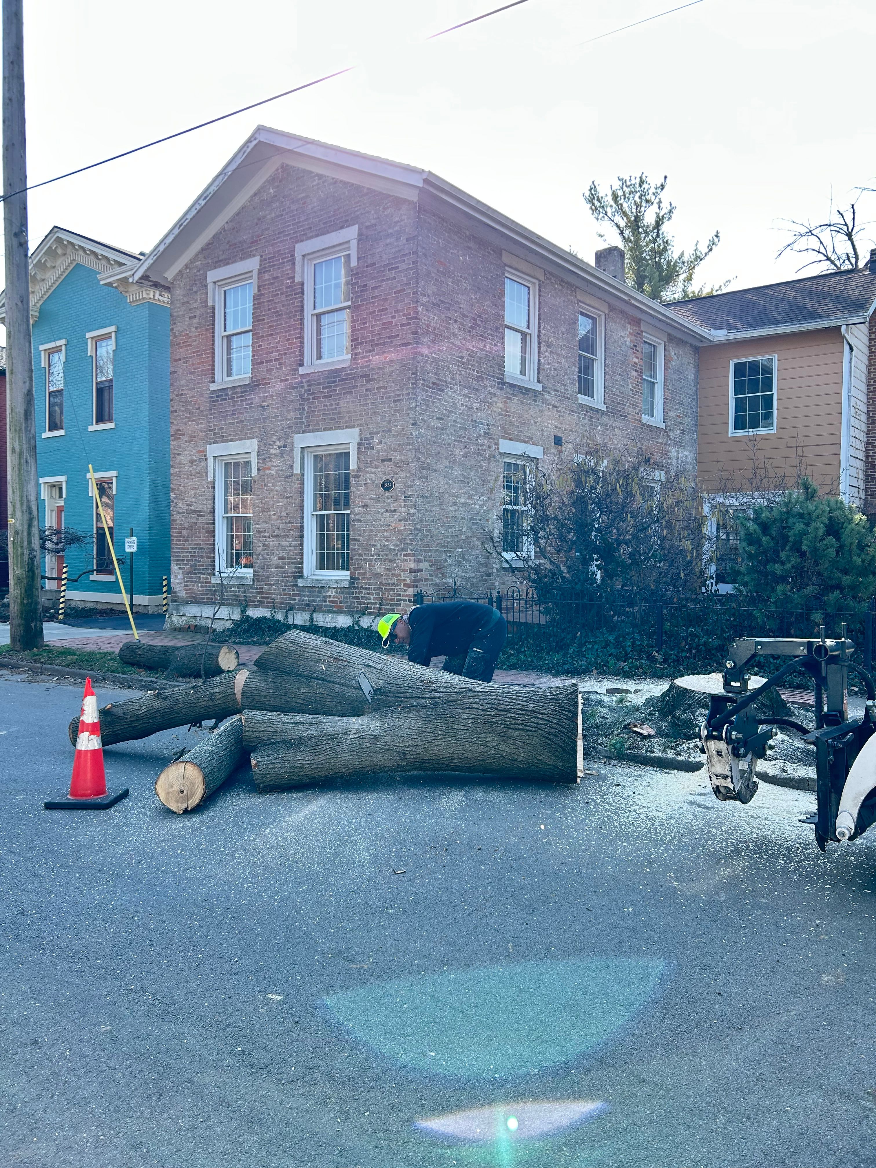 All Photos for Pro Tree Trim & Removal, Llc in Dayton, OH