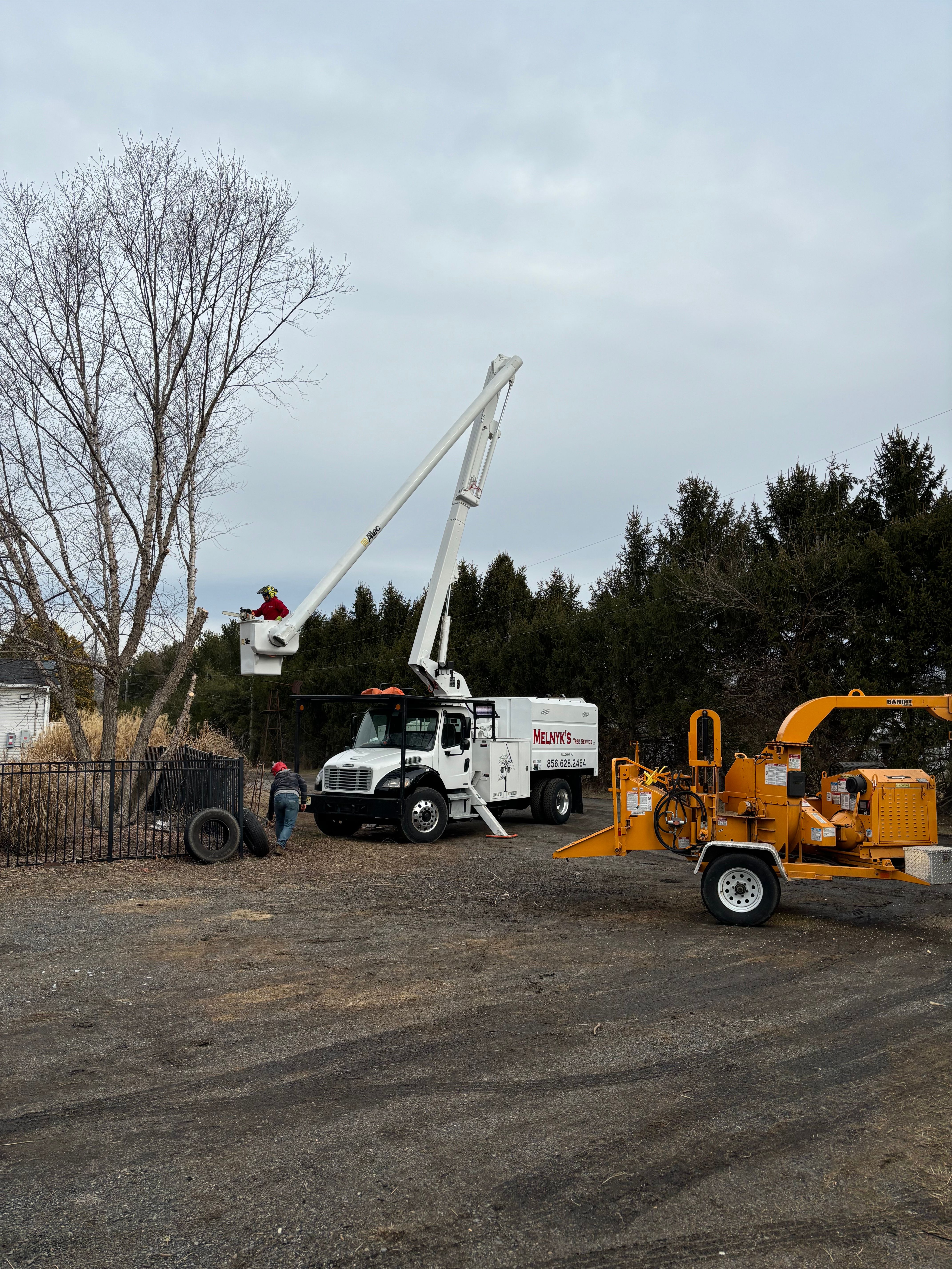 All Photos for Melnyk’s Tree Service in Salem County, NJ