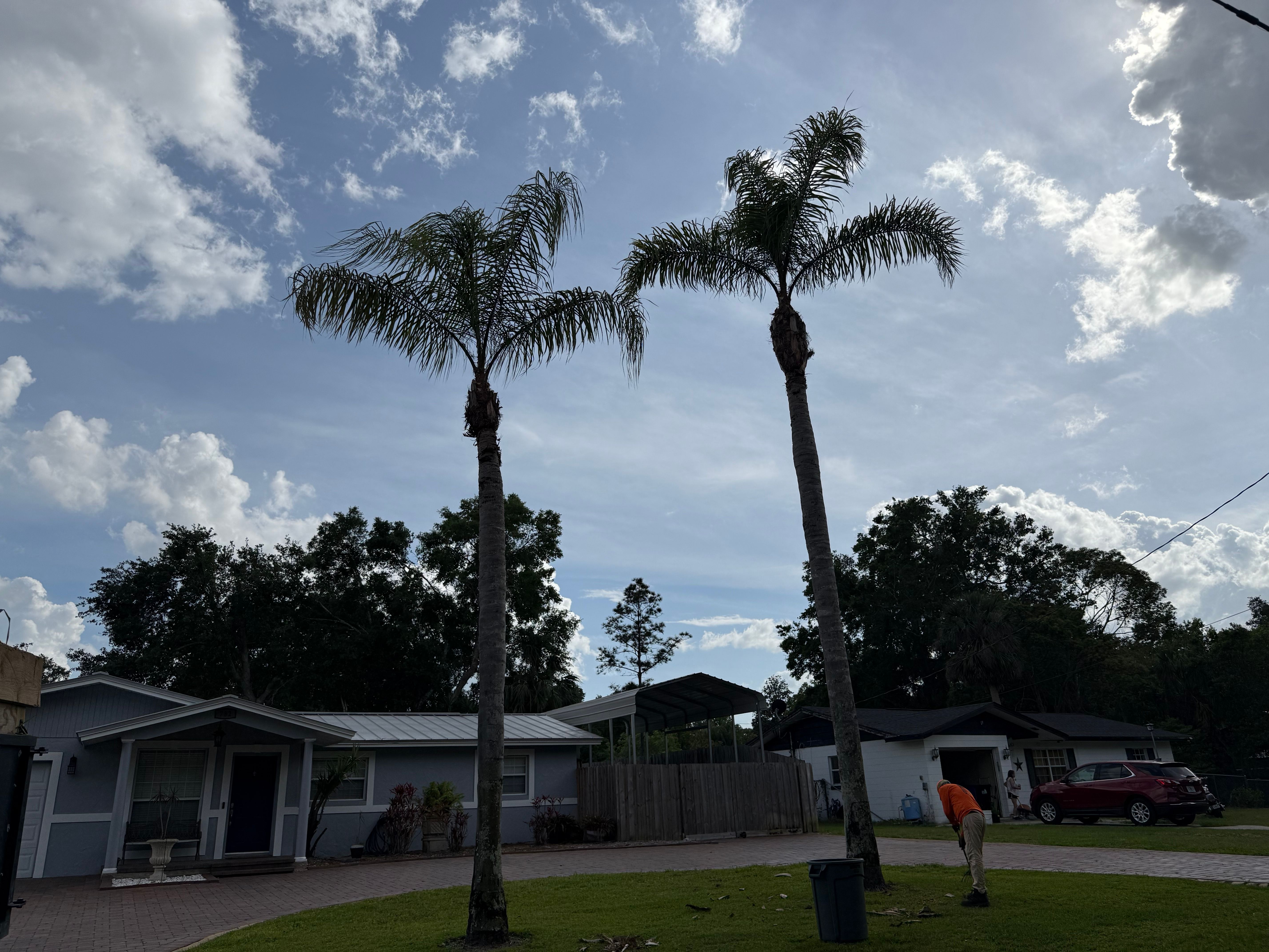  for Amerigrown Tree And Lawn in Apopka, FL