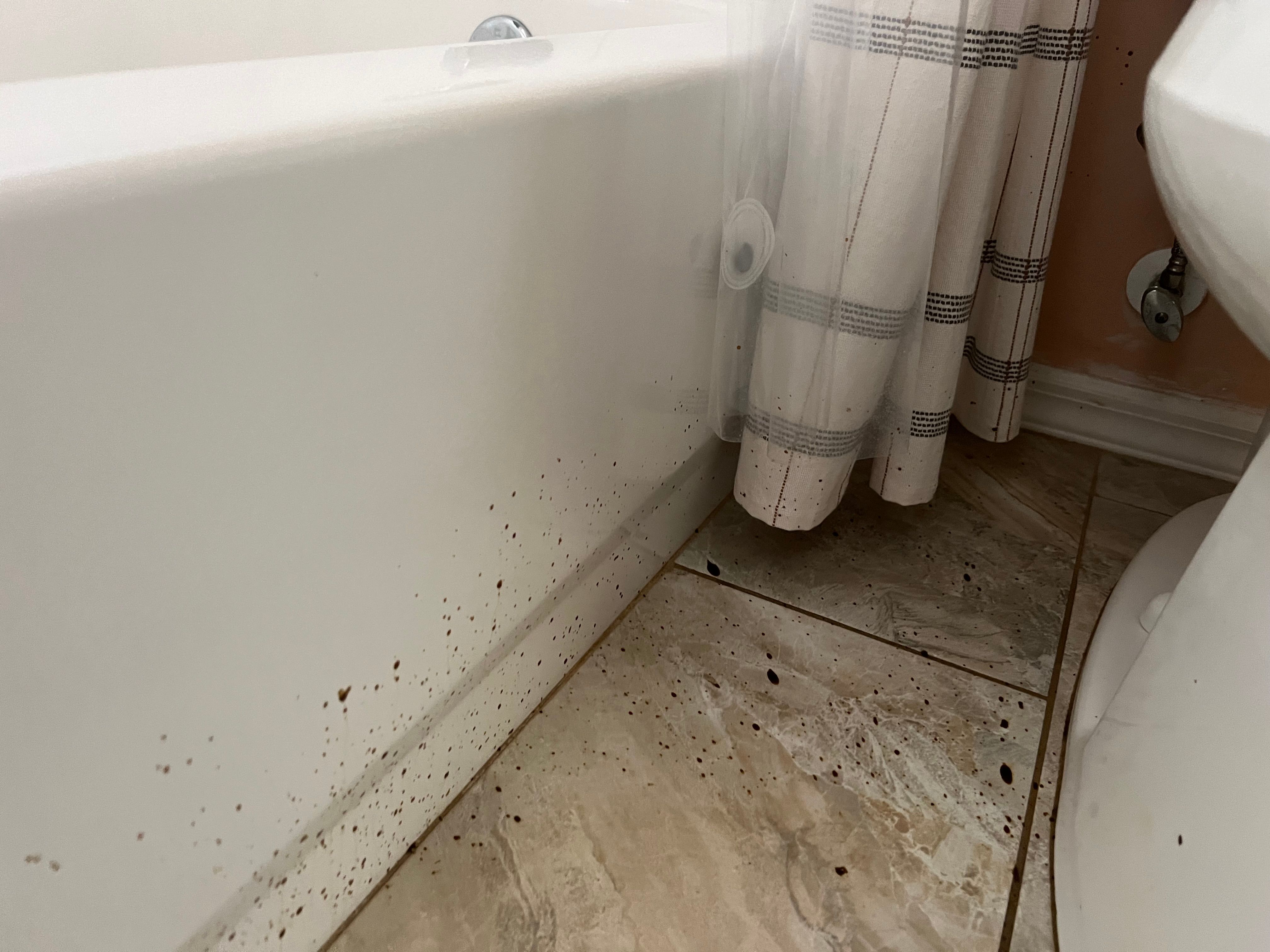  for N&D Restoration Services When Disaster Strikes, We Come In in Cape Coral,  FL