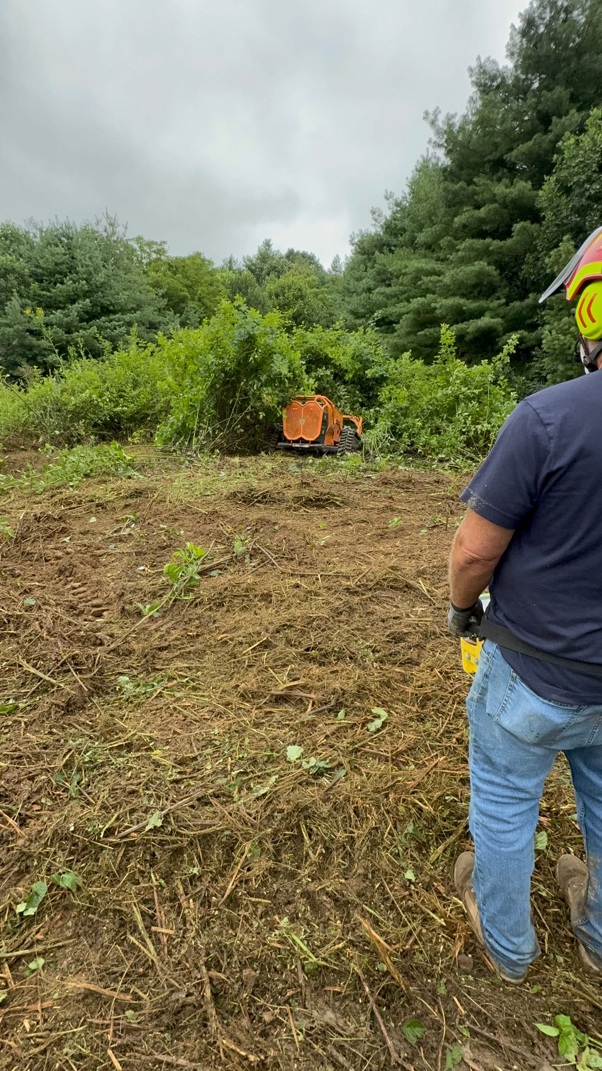 for Mountain Goat Land Management in Galax, VA