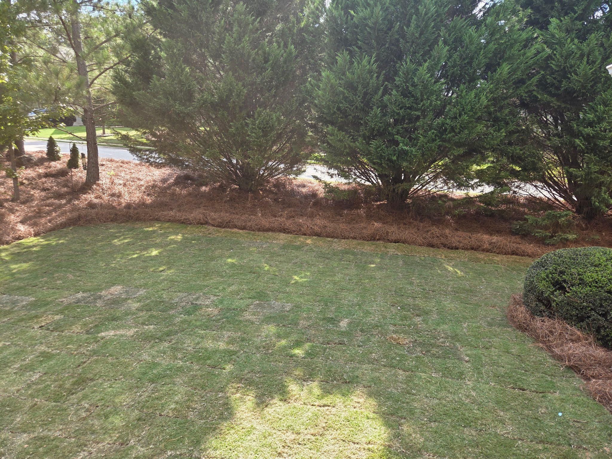  for GA Lawn Care Pros in Jefferson, GA