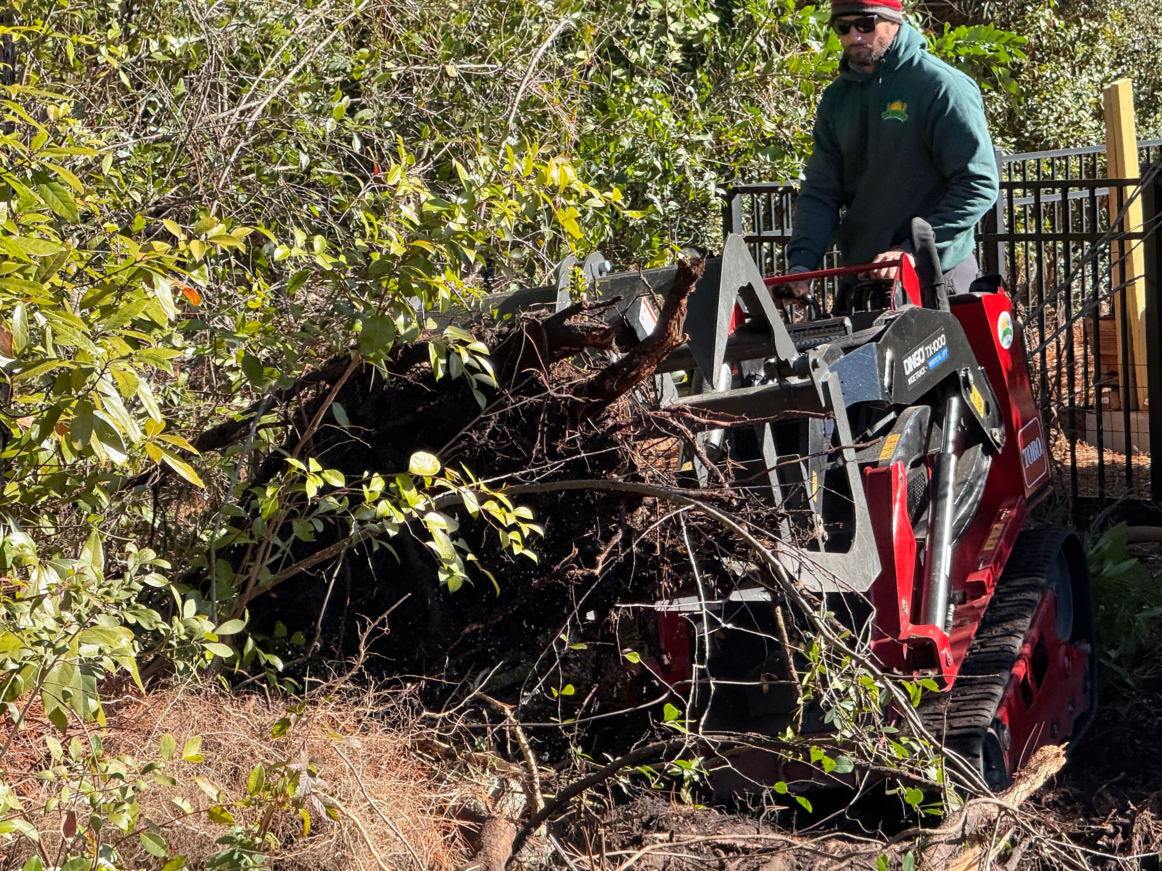  for New Creation Landscaping in Myrtle Beach, SC
