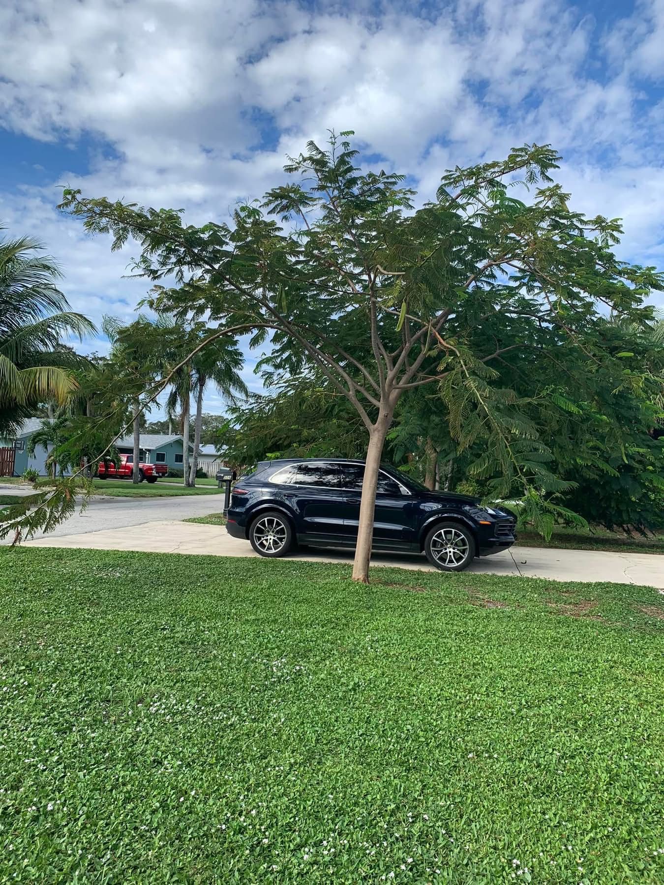  for Space Coast Property Maintenance and Management LLC in Melbourne, FL