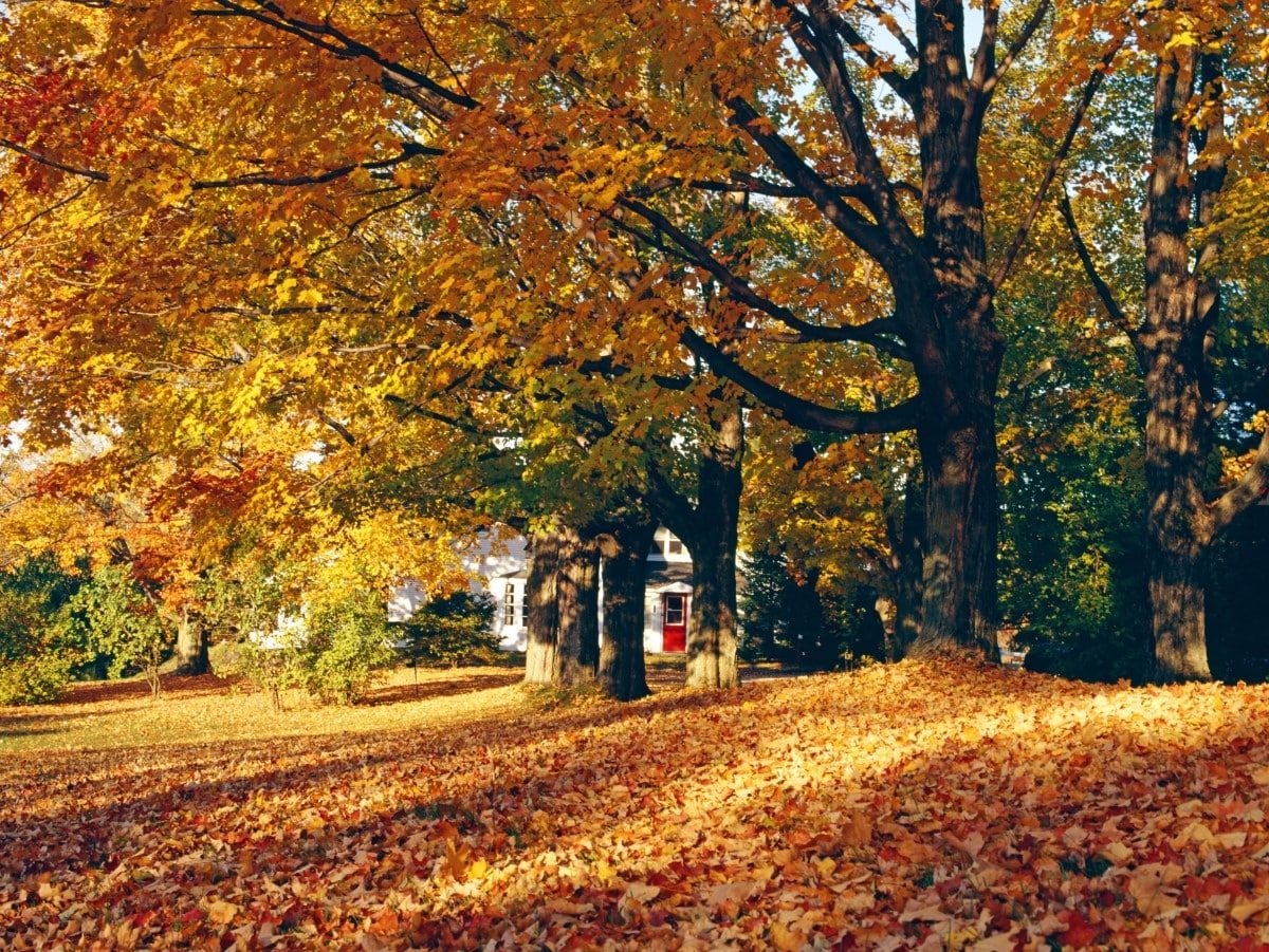  for HillyGoat Lawn Care in Provo, UT