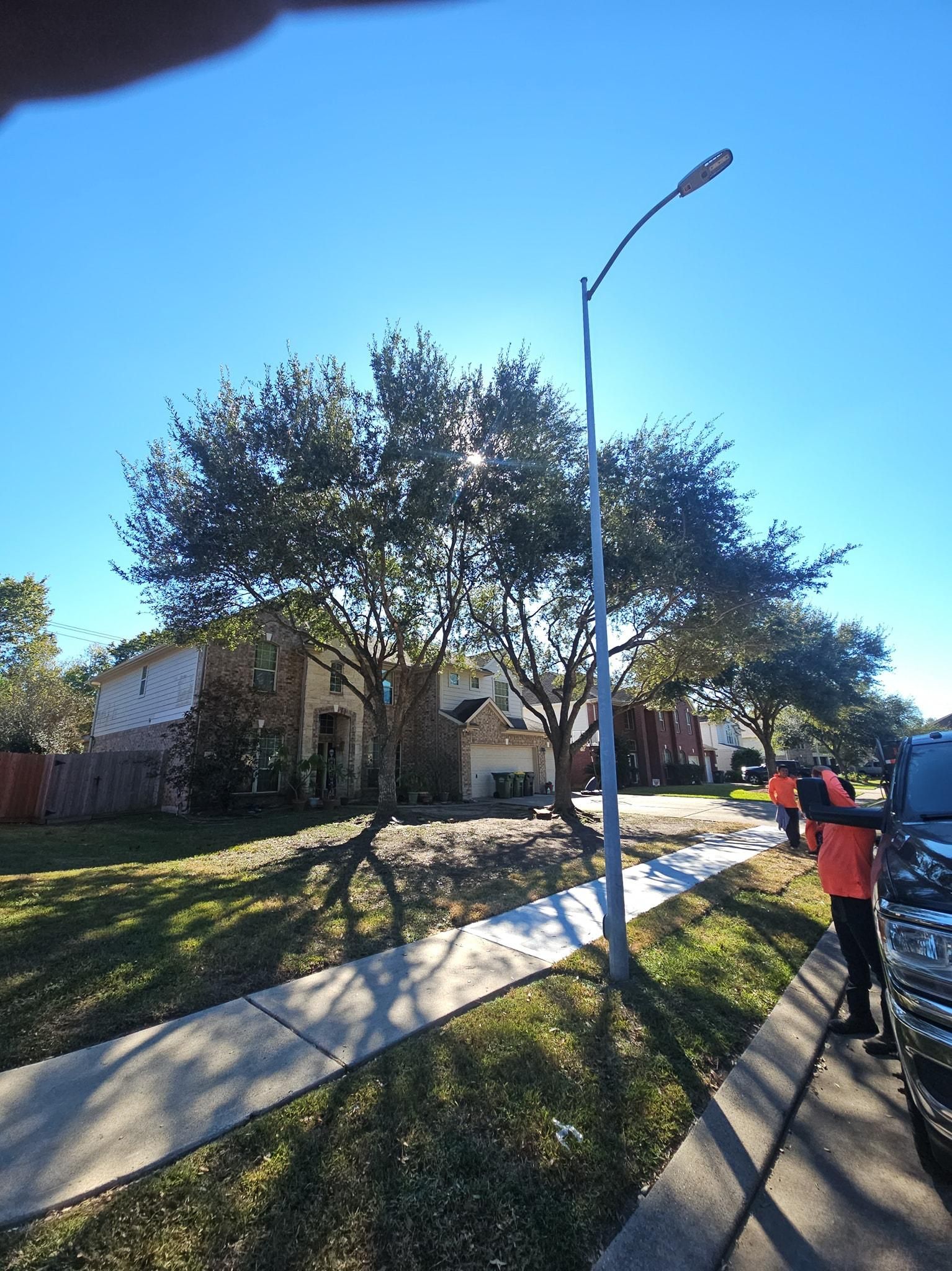  for Servin's Tree Care  in Houston, TX