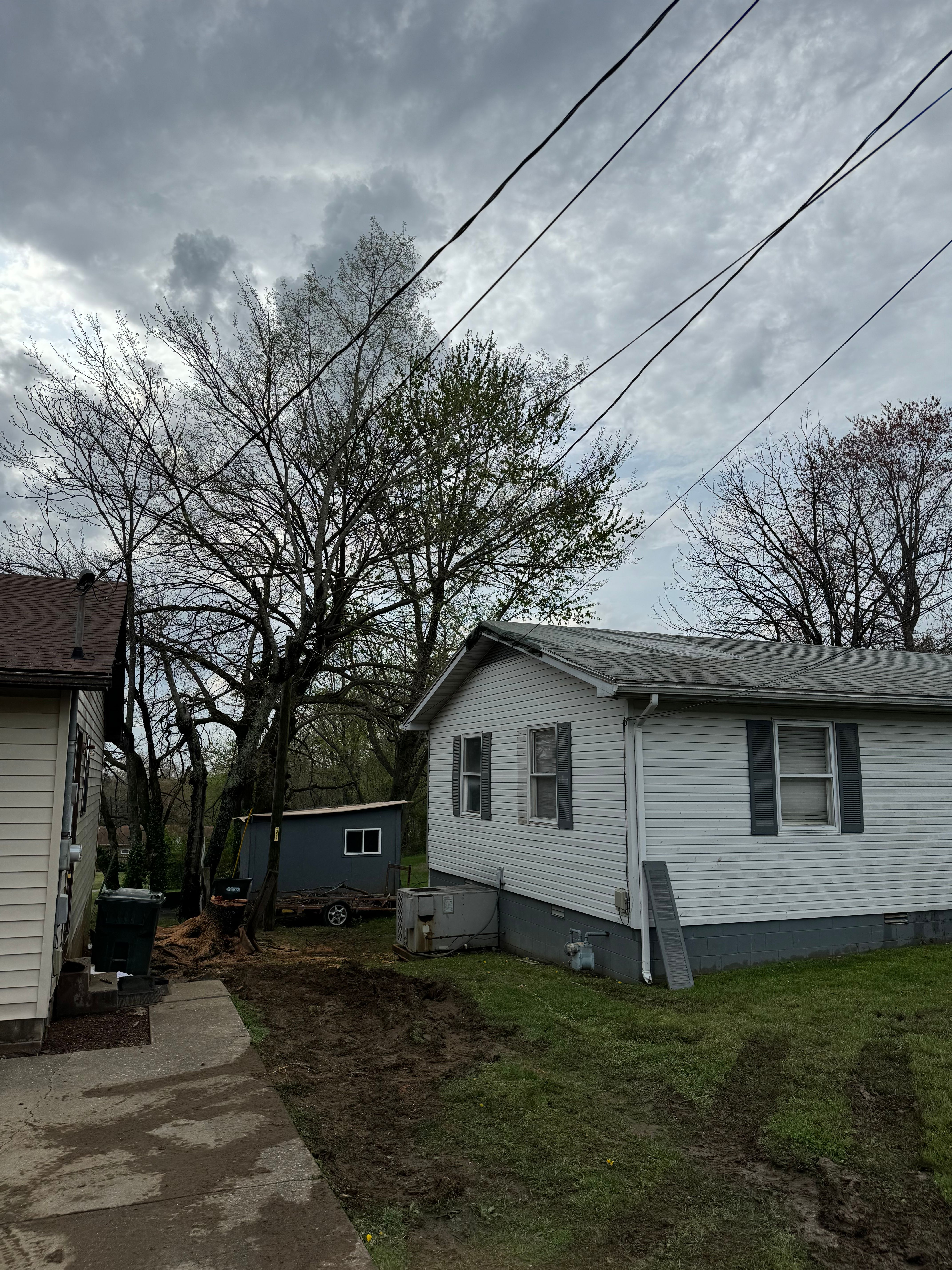  for Curtis Tree Service LLC in Hopkins County, KY