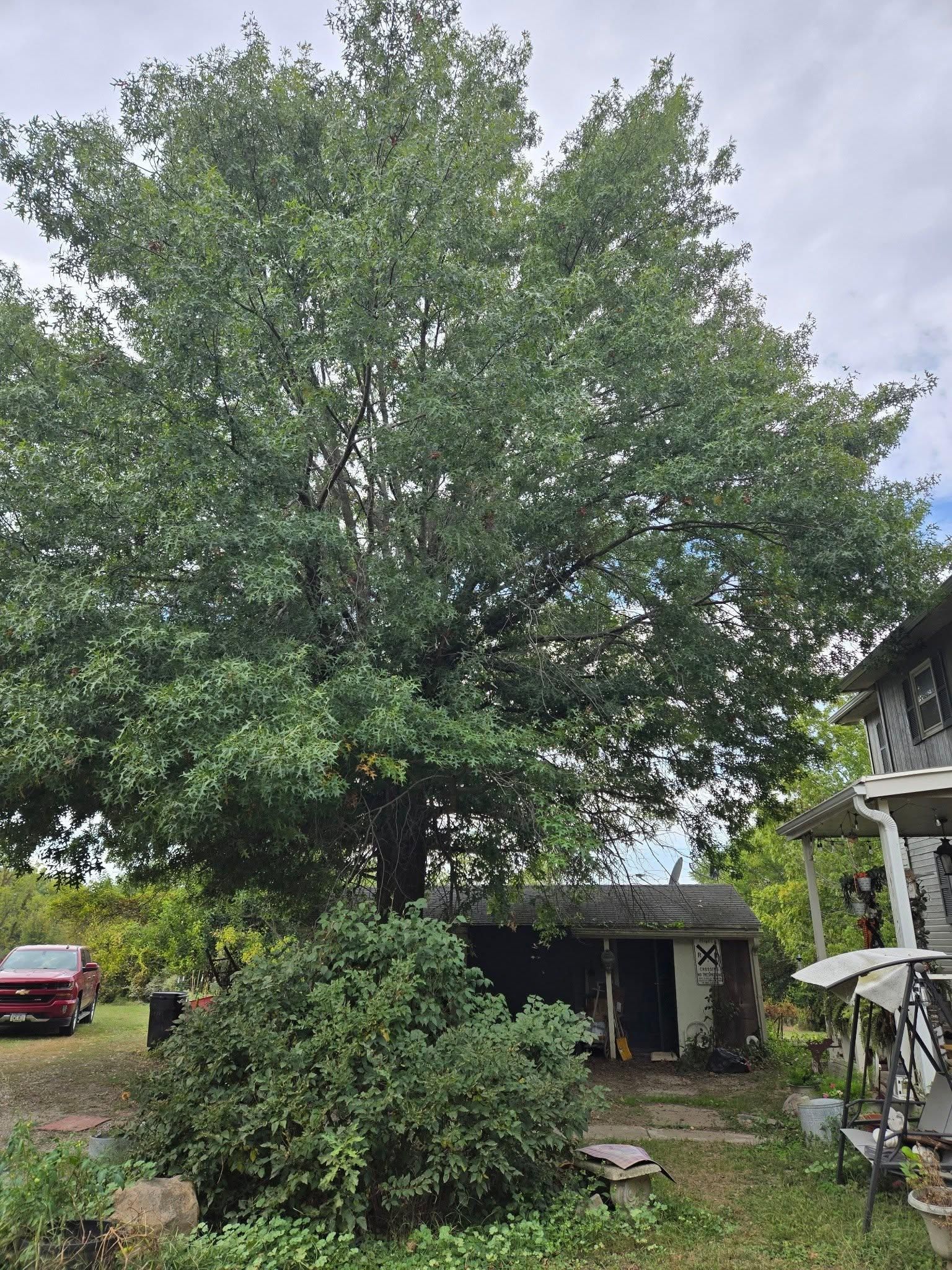  for Lawn Ranger Yard And Tree Service LLC in Ottumwa, IA