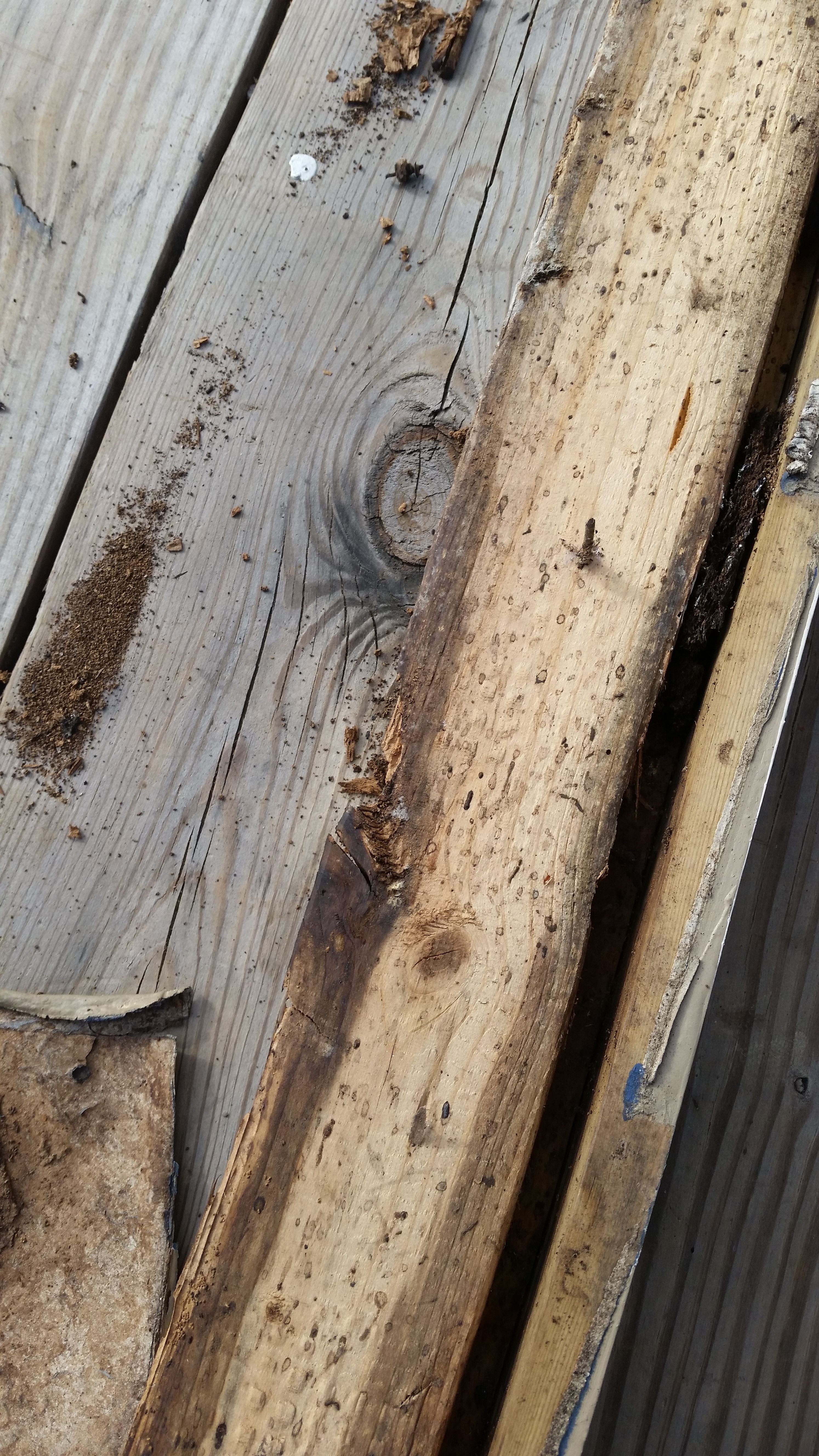  for Mancinas Home Improvement, Landscaping, & Lawn Care in Fayetteville, NC