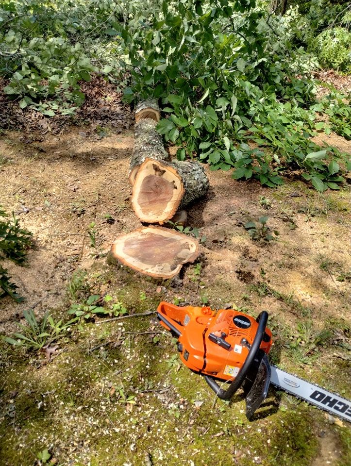  for Wade's Family Tree Service in Townsend, TN