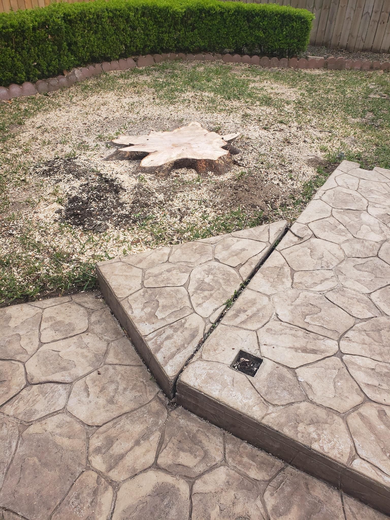  for Servin's Tree Care  in Houston, TX