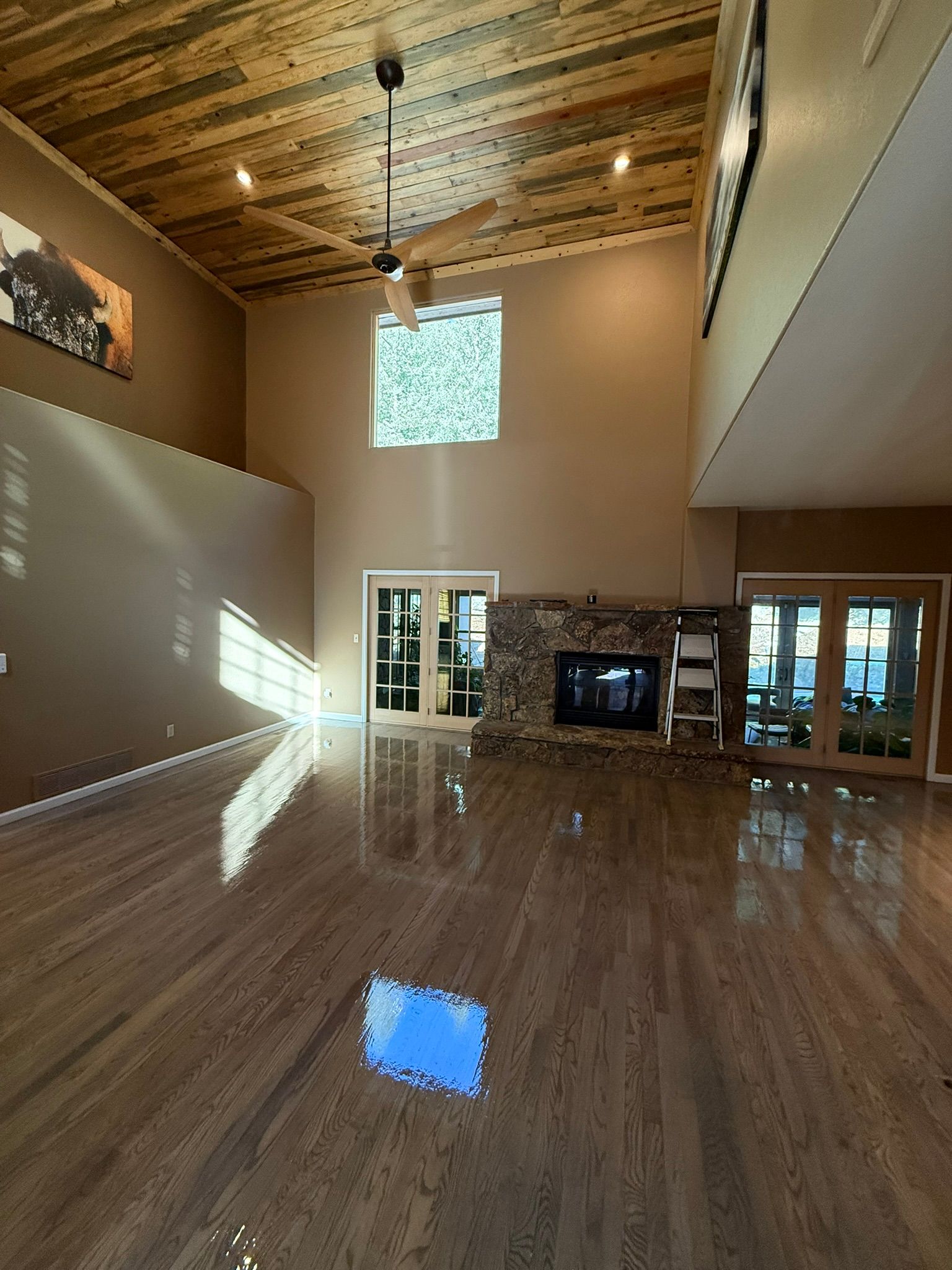  for Alpha Flooring & Painting Services. in Centennial, CO