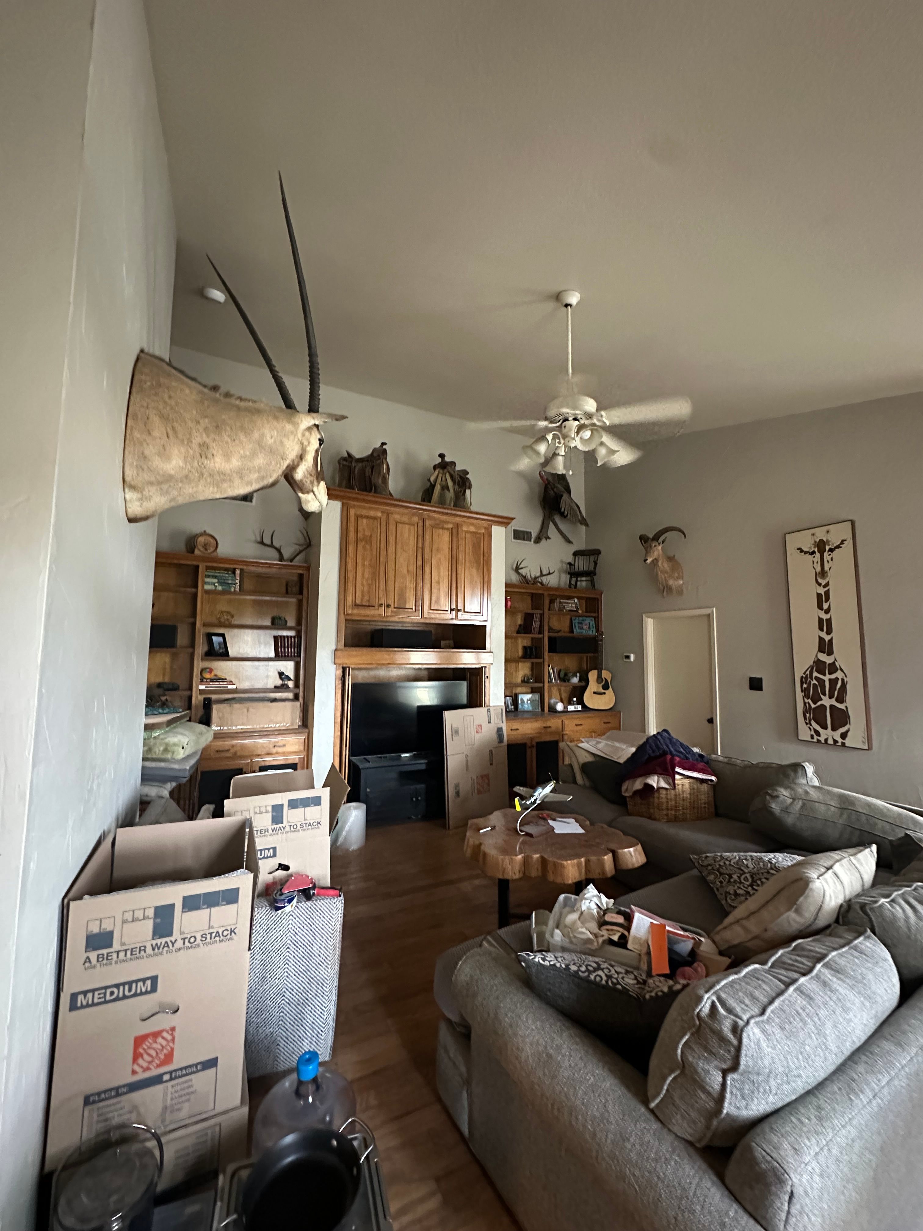  for GEOS Painting in New Braunfels, TX