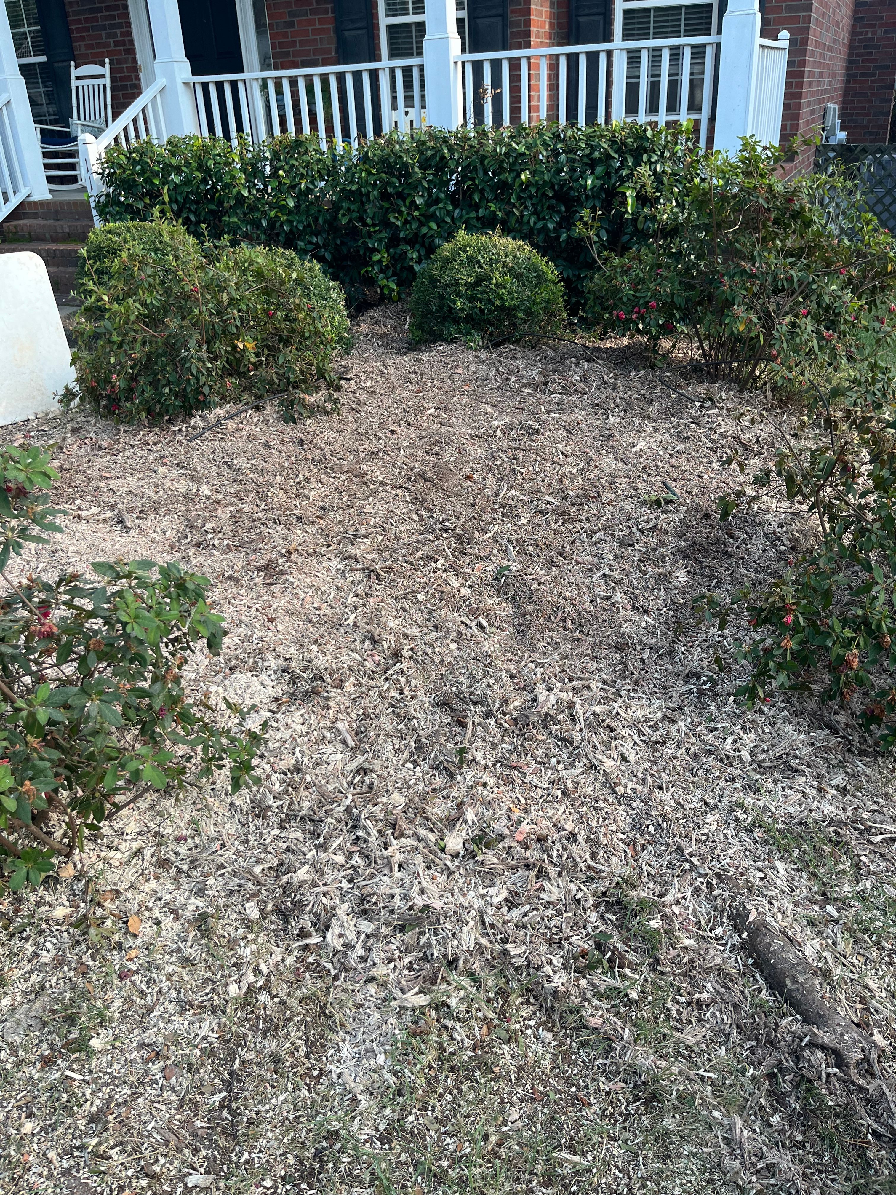 All Photos for Otis Lee Stump Grinding LLC in Elgin, SC