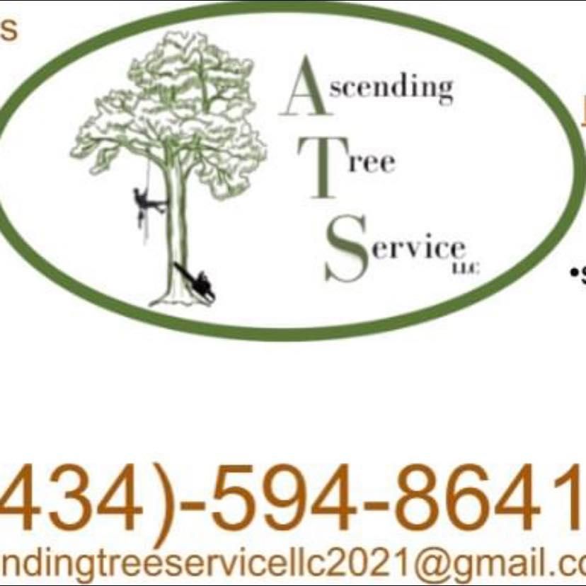  for Ascending Tree Service LLC in Kenbridge, VA