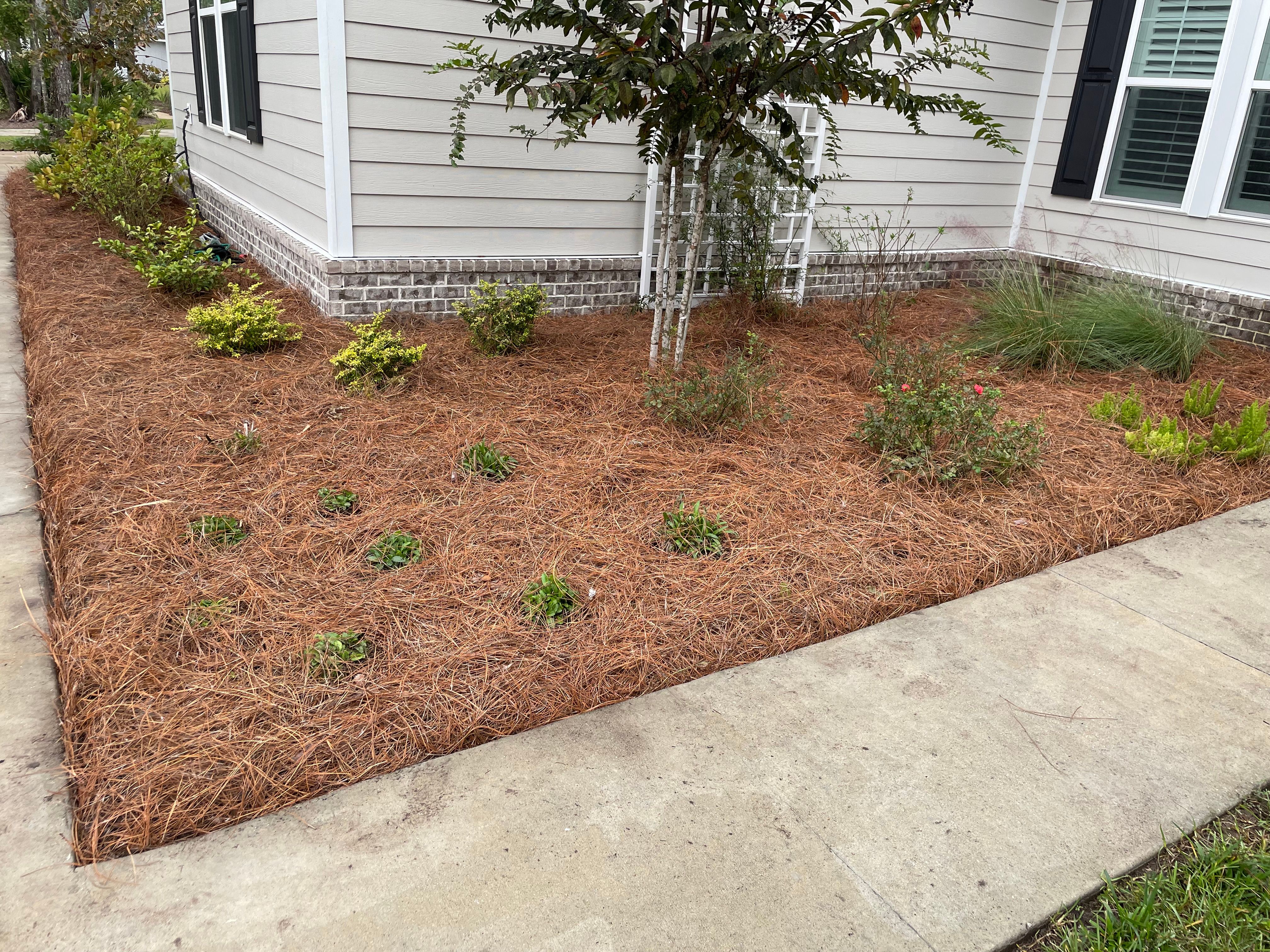  for Golden Isles Greenery in Brunswick, GA