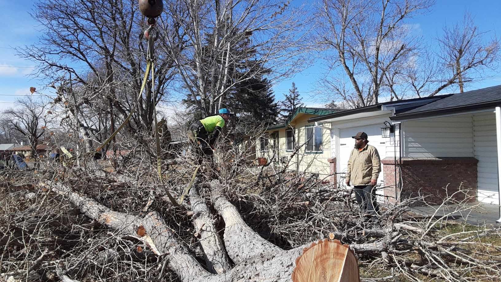  for Sloan Tree Service in Aurora, CO