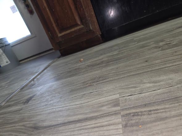  for Comptons Painting LLC in Smyrna, TN