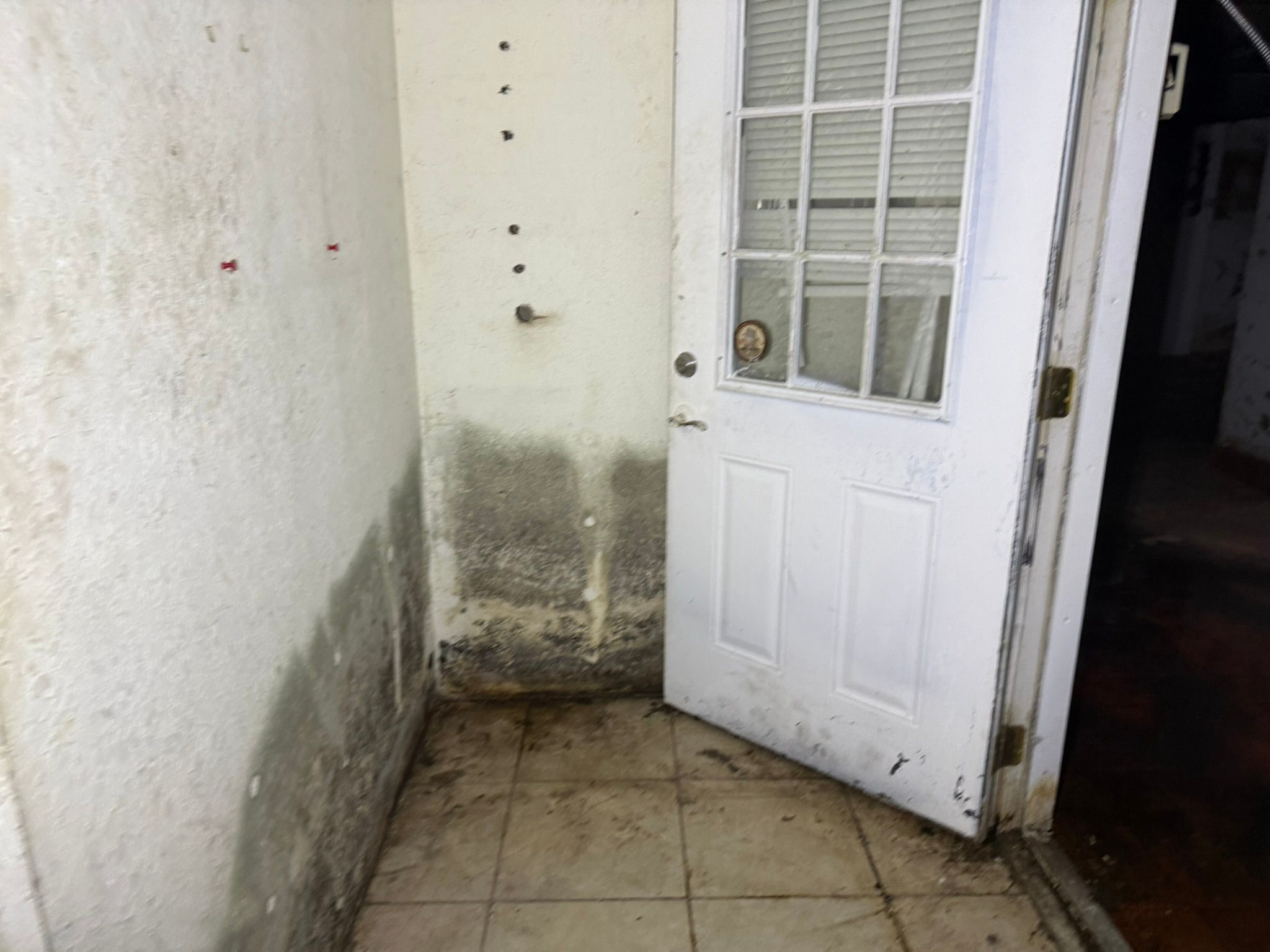  for Surplus Public Adjusters in Miami-Dade County, FL