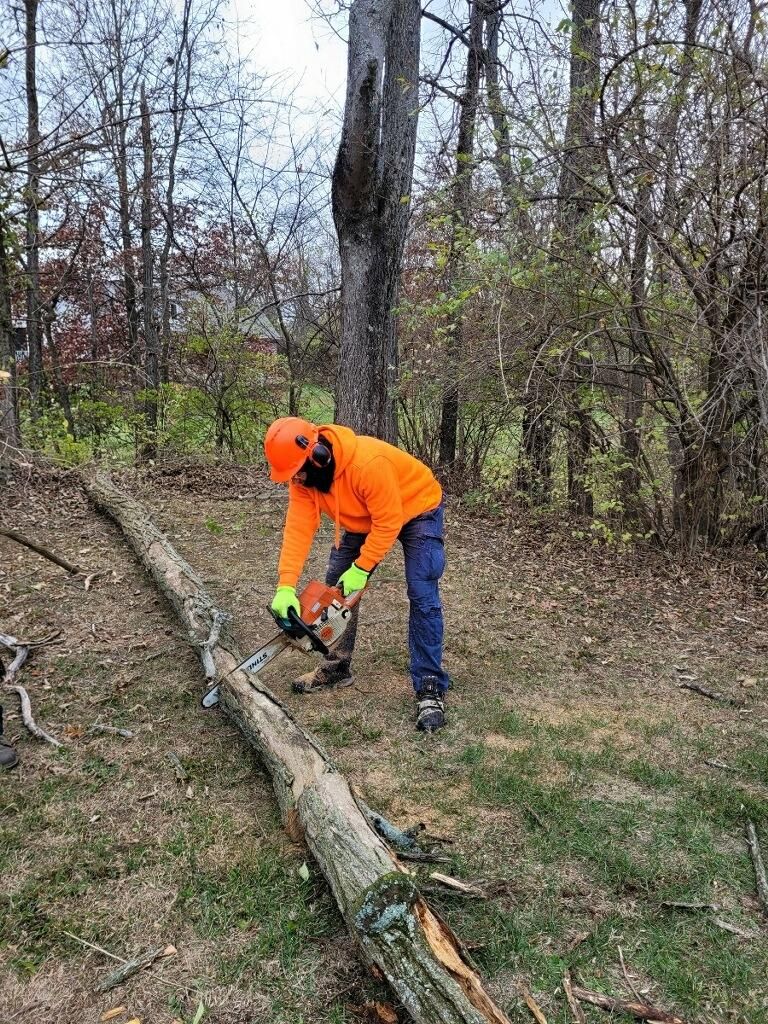  for Kingdom Tree Trimming and Removal LLC in Covington, KY