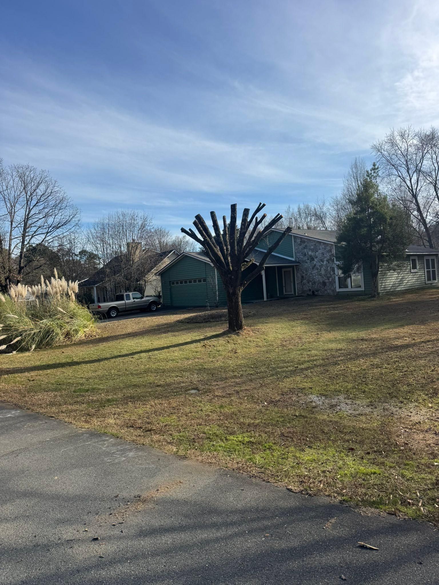  for Pedro's Tree Removal in Charlotte, NC