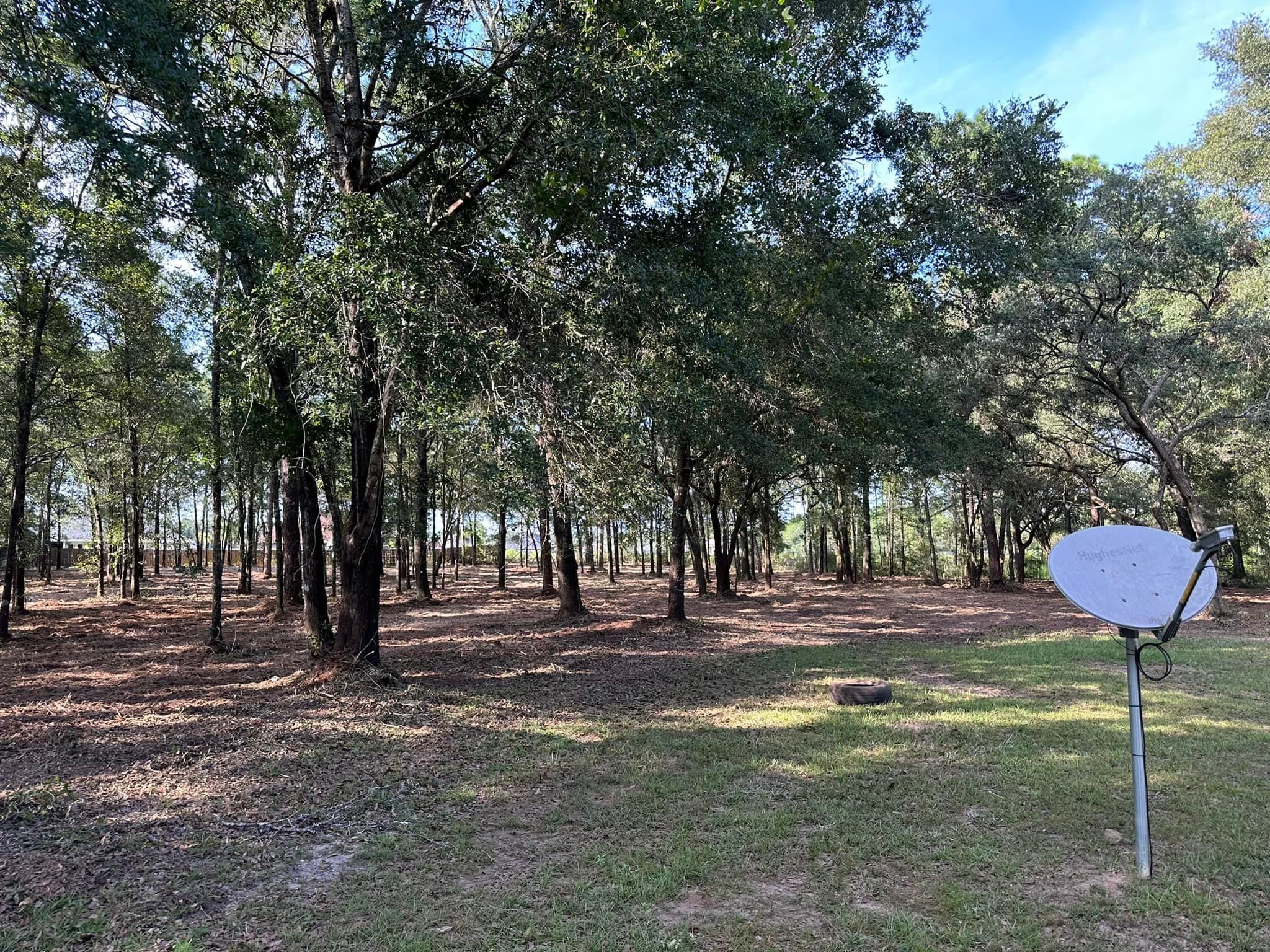 All Photos for White’s Land Maintenance in Milton,, FL