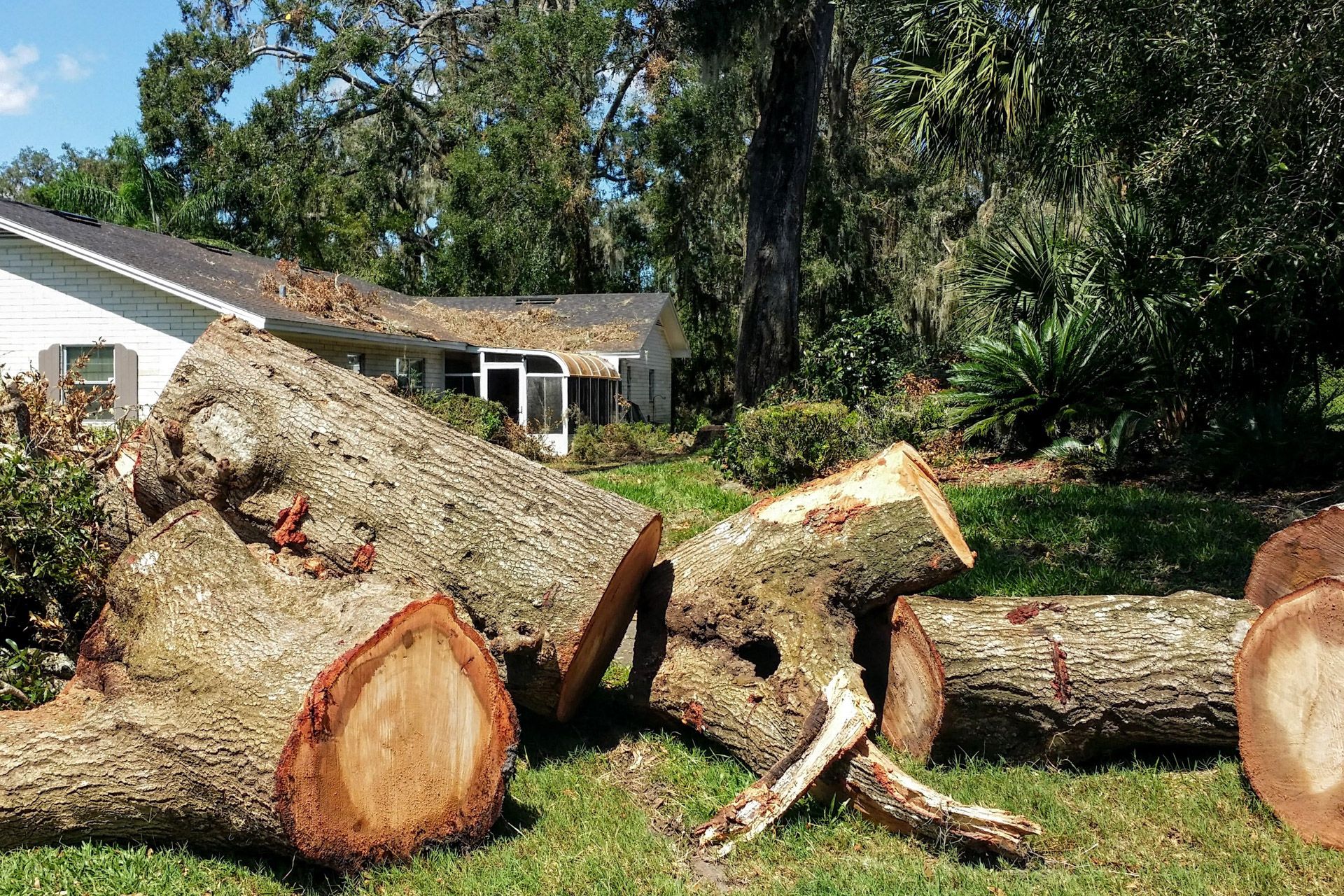 Tree Removal for Hawkins Tree Service & Land Management in Richmond Hill, GA