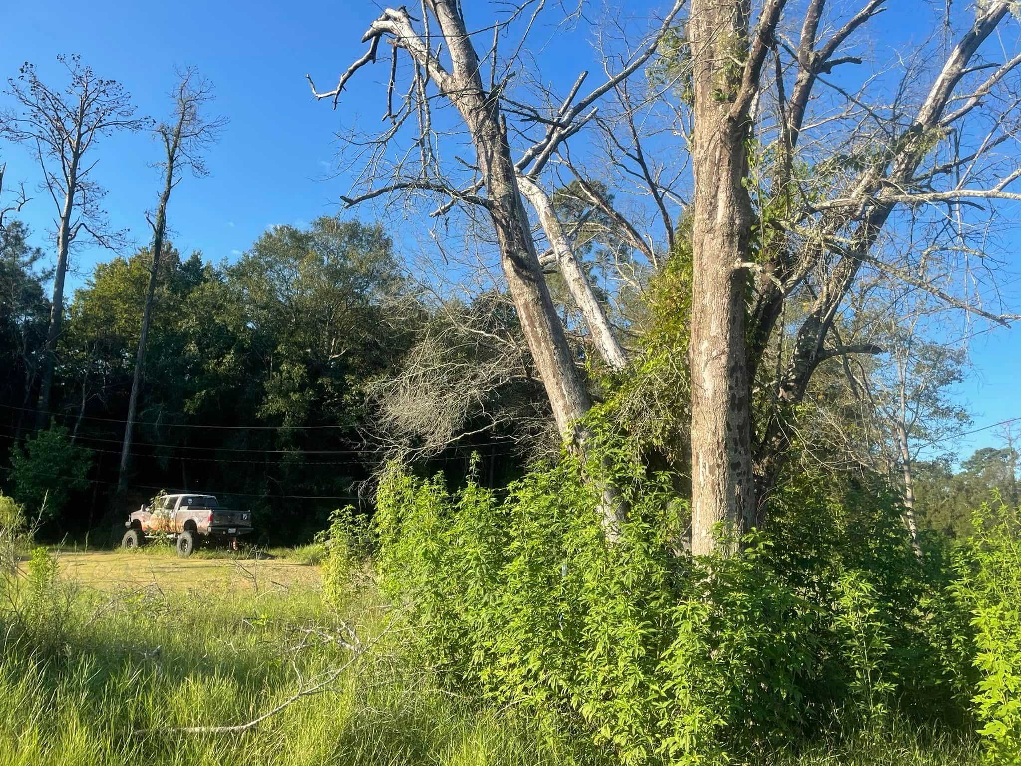  for Equality Contracting And Tree in Kountze, TX