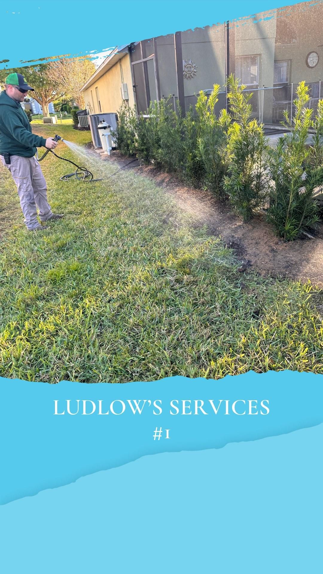 Tree Services for Ludlows Services in Clermont, FL