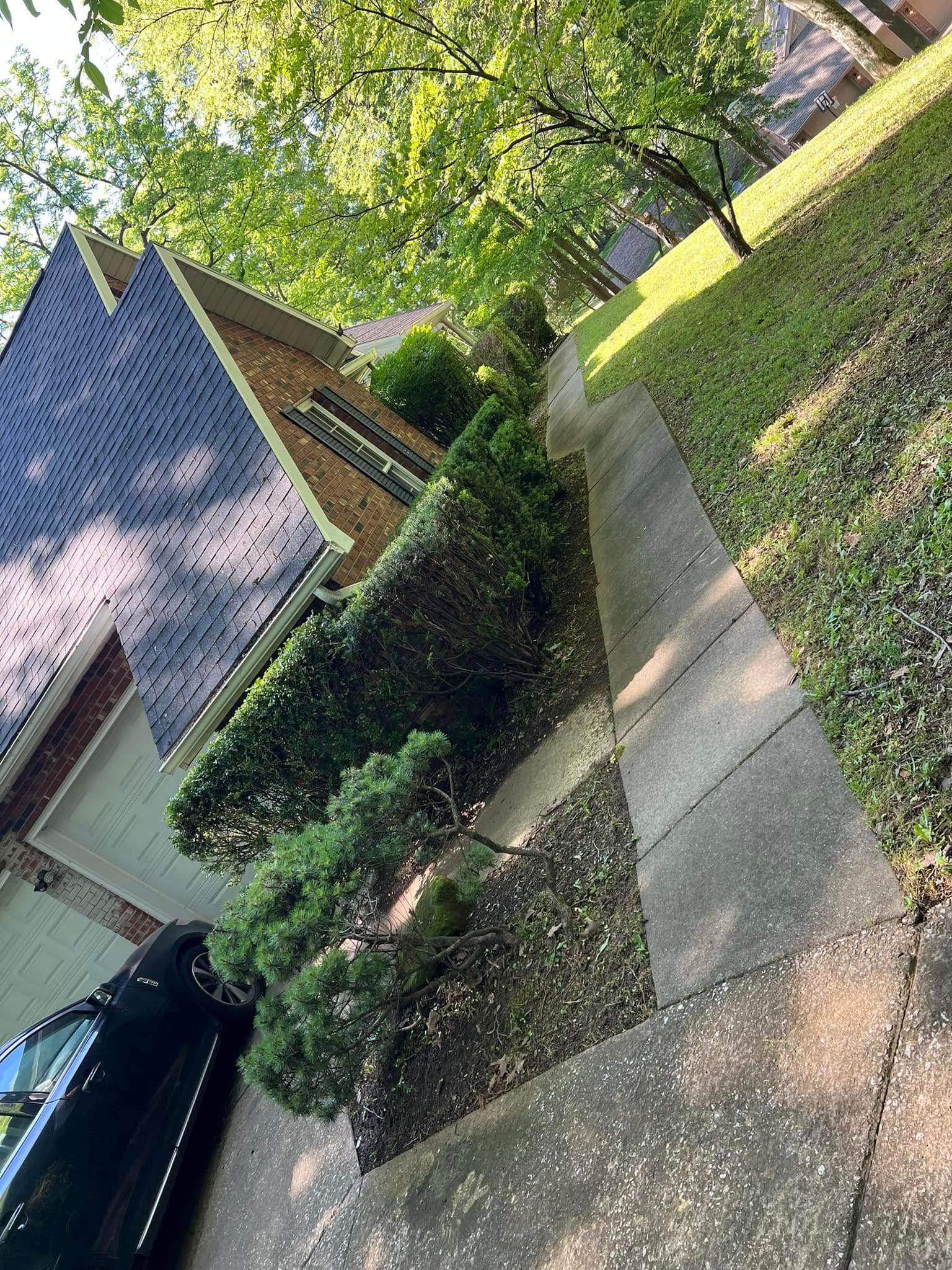  for New Outlook Lawncare in Henderson County, KY