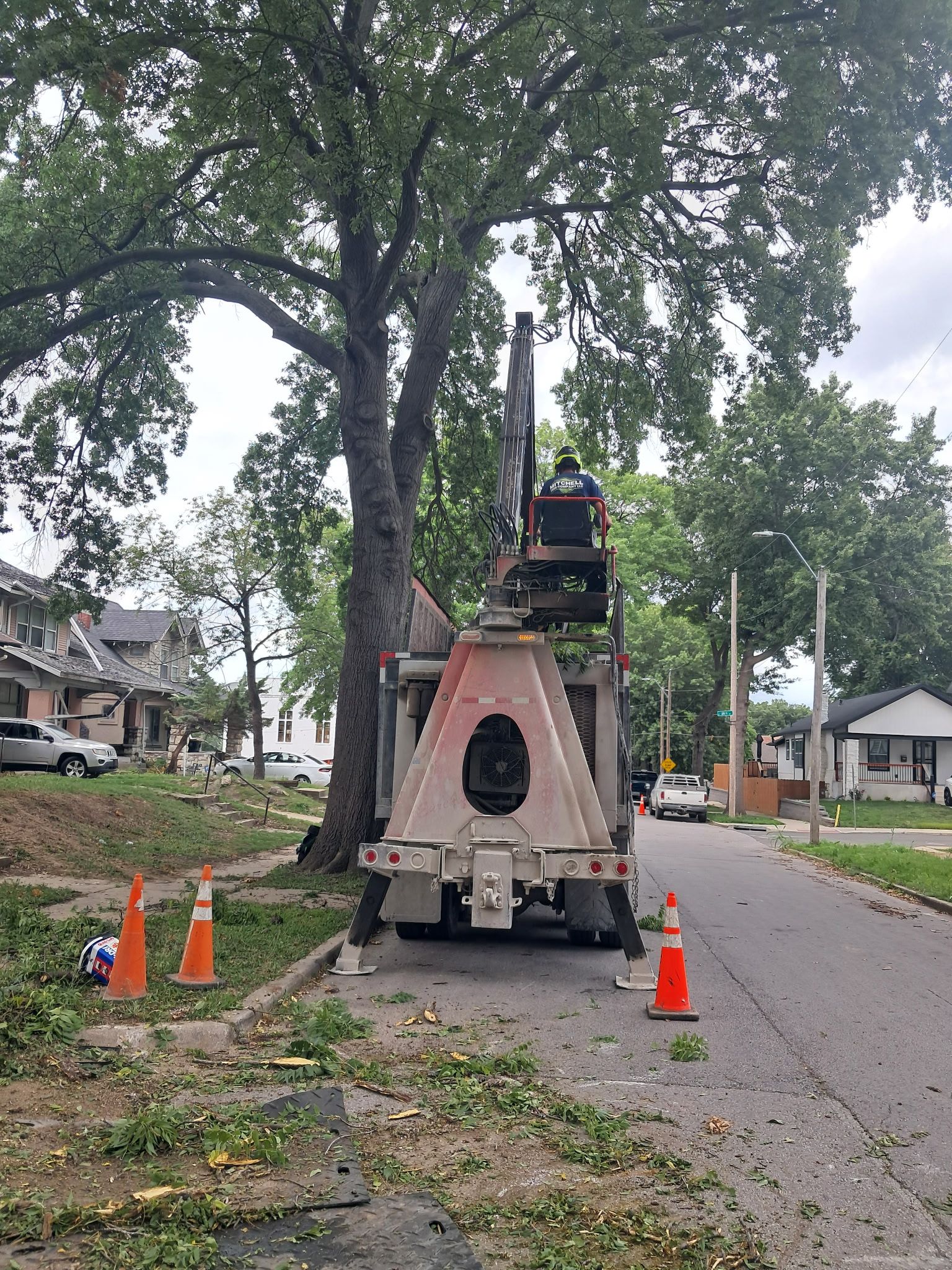  for Mitchell Tree Company in Lathrop, MO