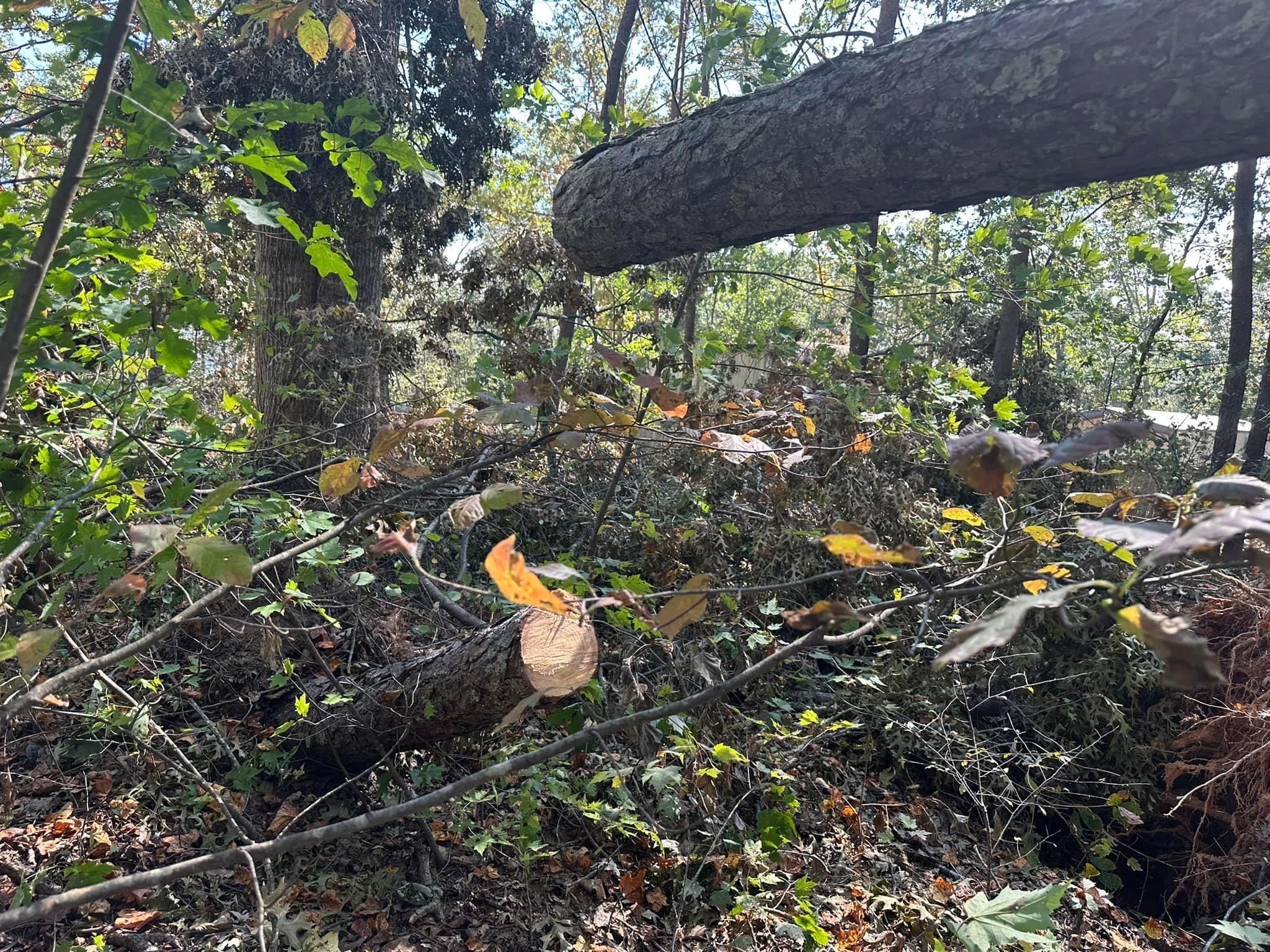 All Photos for The Flip Flop Roofer in Statesville, NC