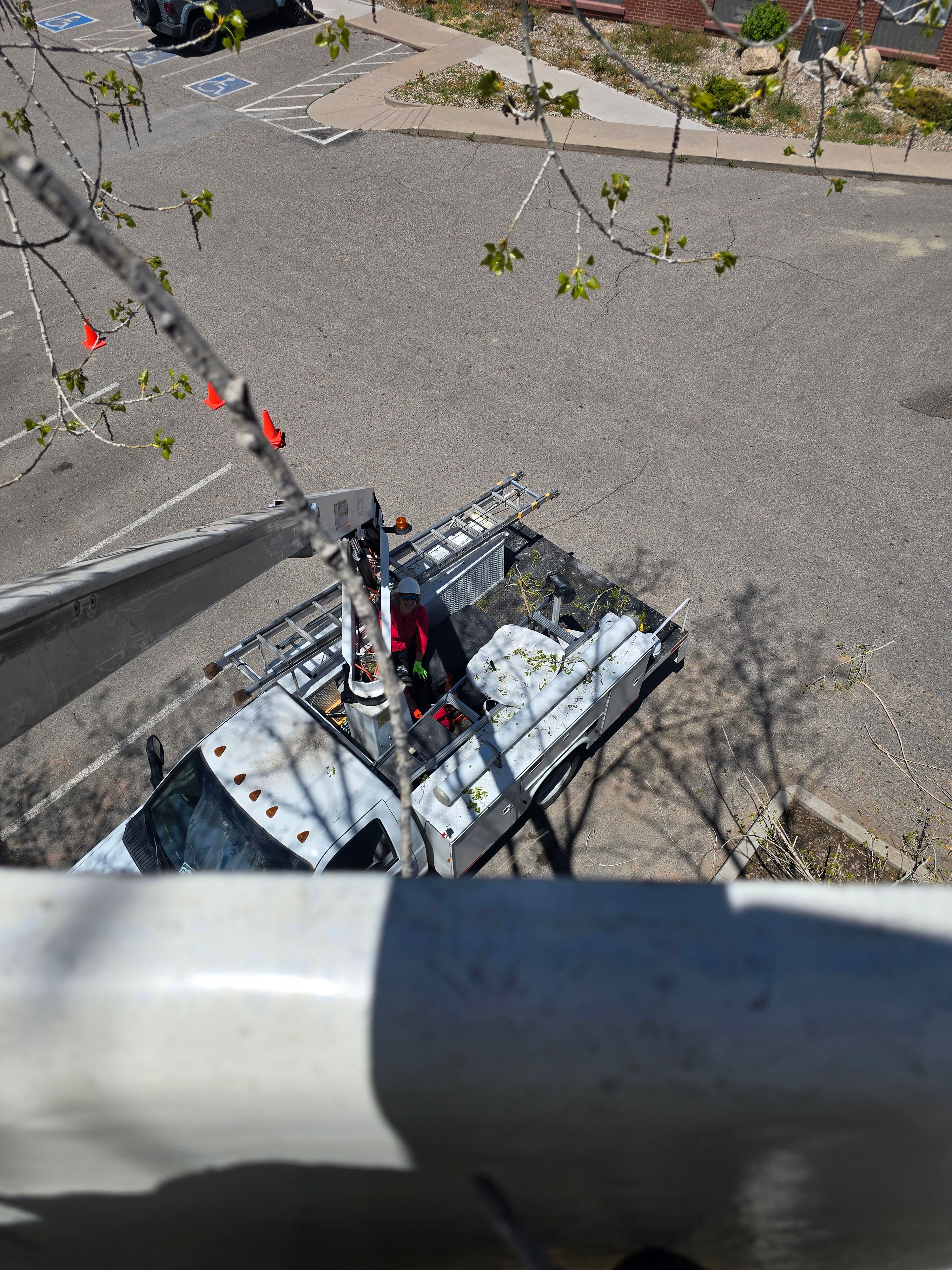 All Photos for LRS: Landscape, Rescue, Snow in Silt, CO