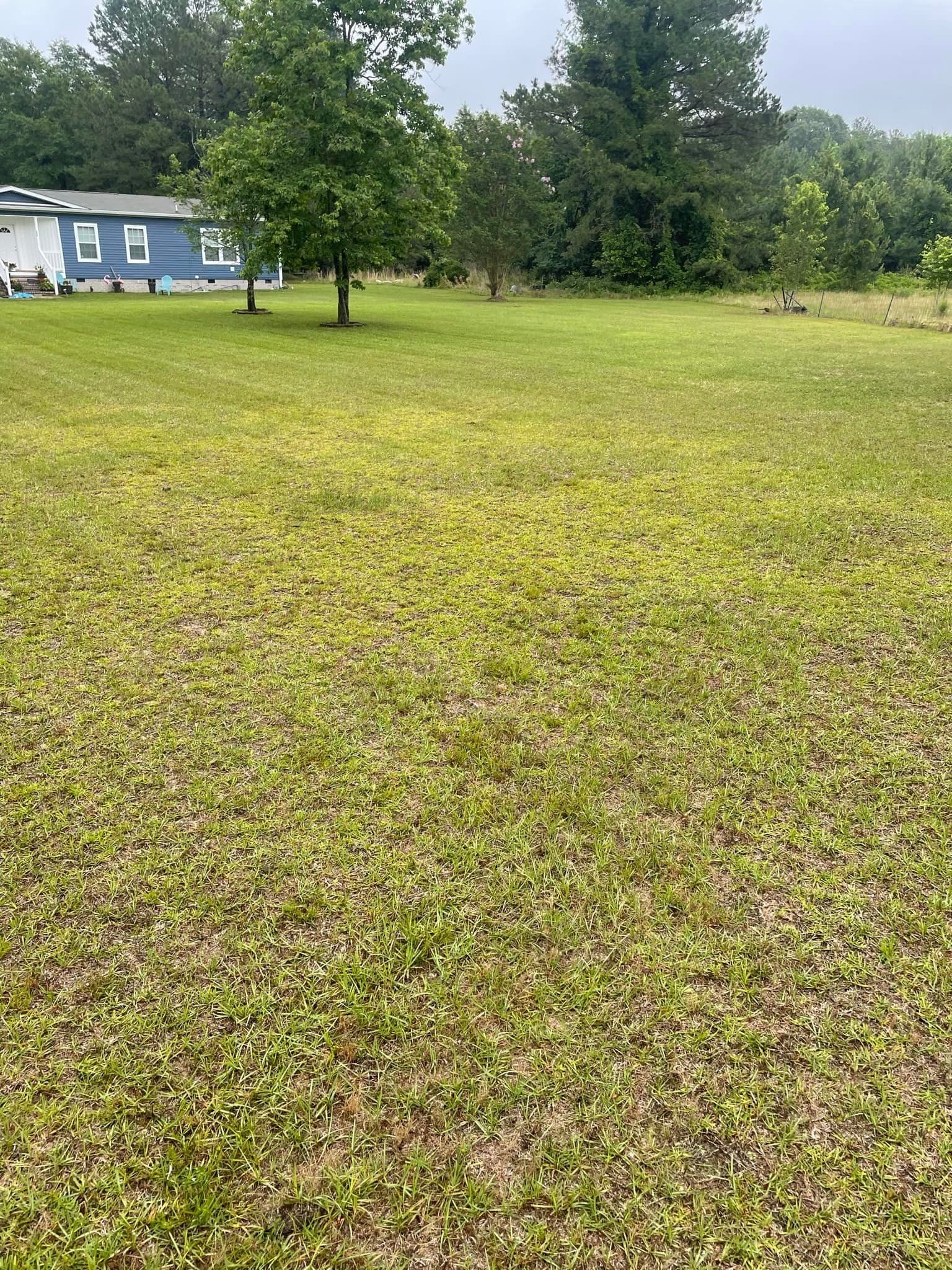 Landscaping for Sparks Landscaping in Augusta, GA