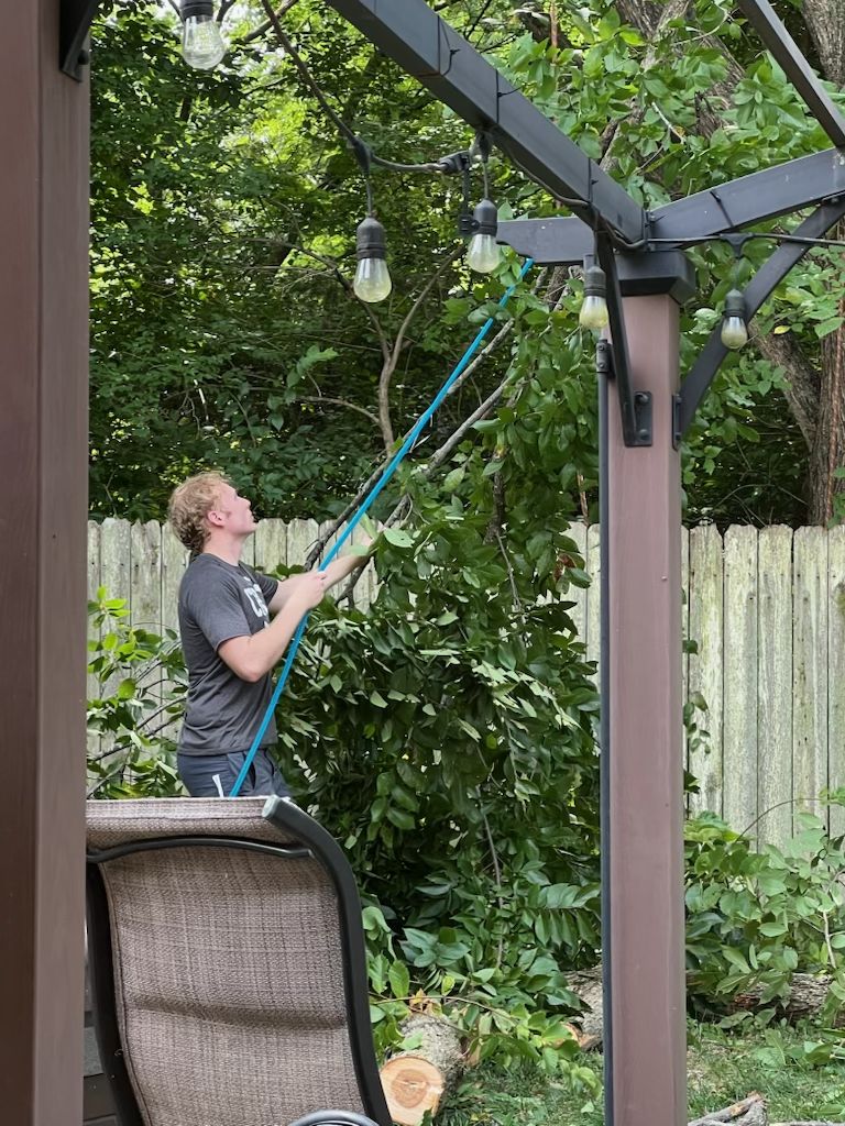  for Sky High Tree Service in Columbia, MO