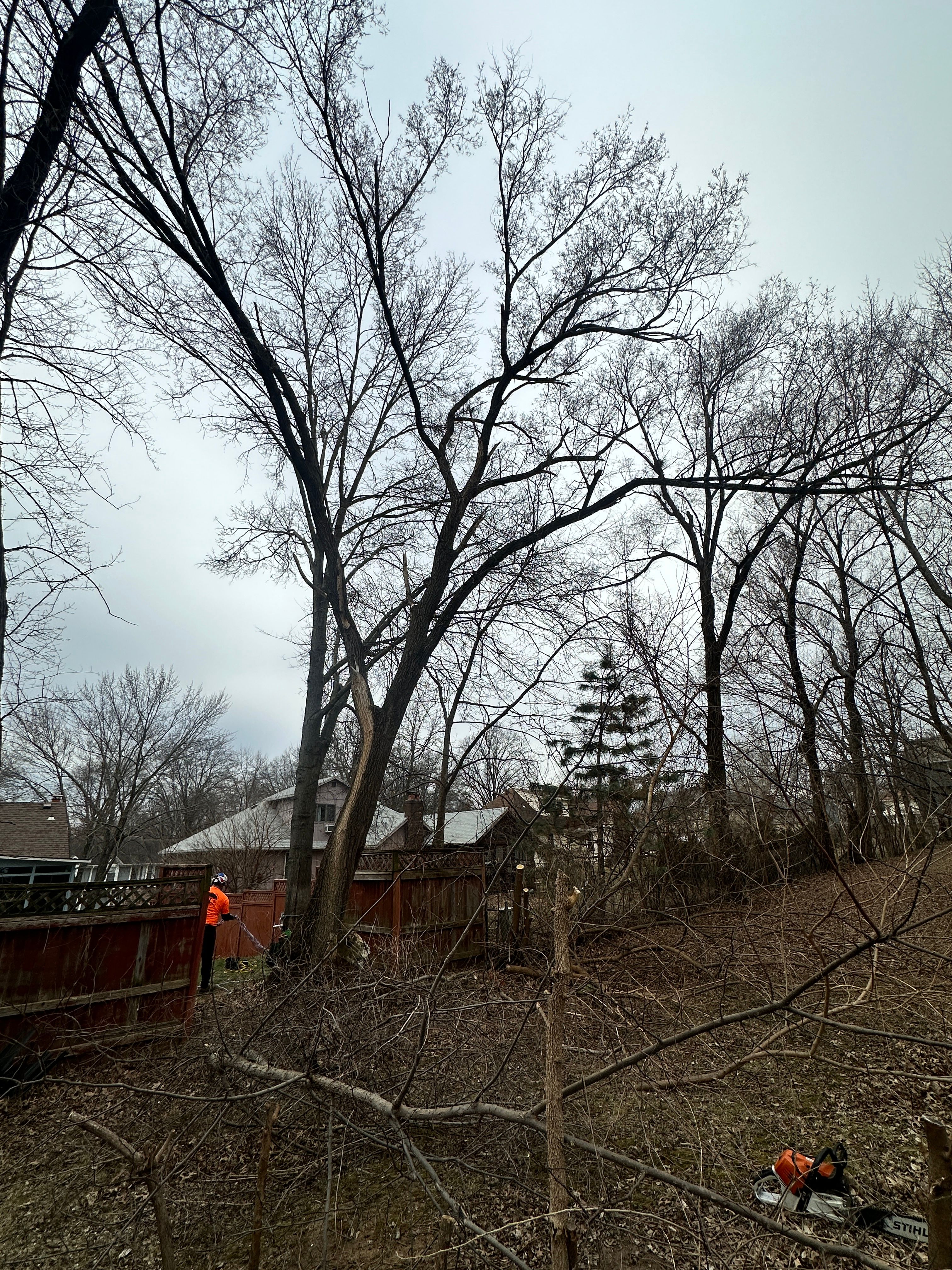 All Photos for Cross Family Tree Service in Kearney, MO