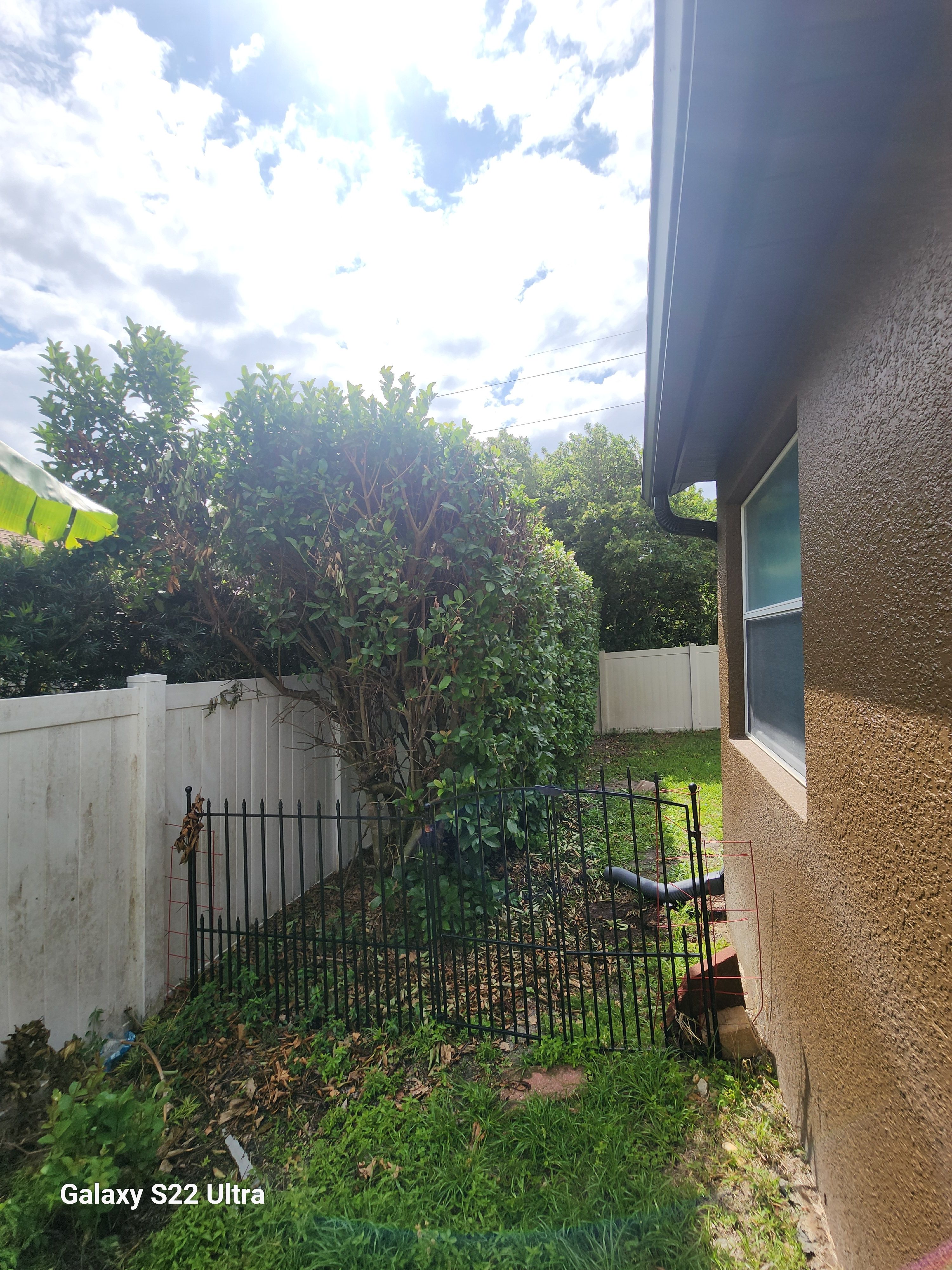 All Photos for Highlife Tree Care And Landscaping in Altamonte Springs, FL