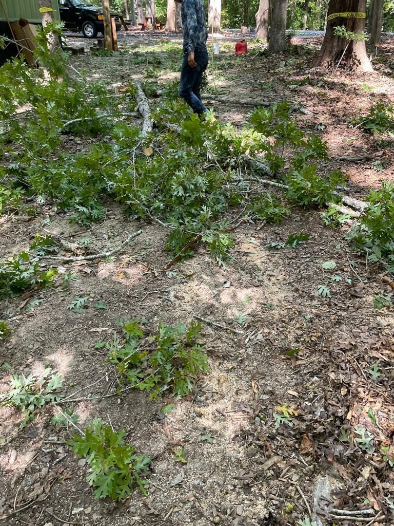 Tree Removal for Rosales Landscaping LLC in Lake Gaston, North Carolina