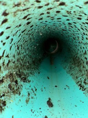  for Reliable Septic Tank Services in Marion County, FL in Reddick, FL