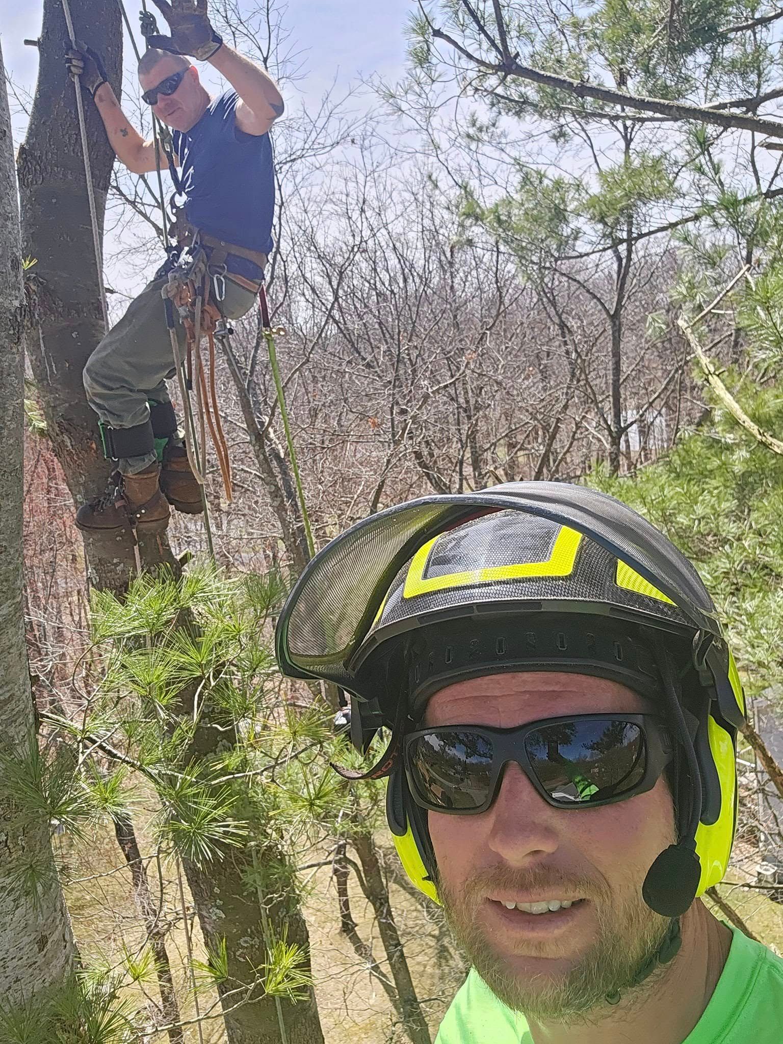  for AAA Tree Cutting in Shavertown, PA