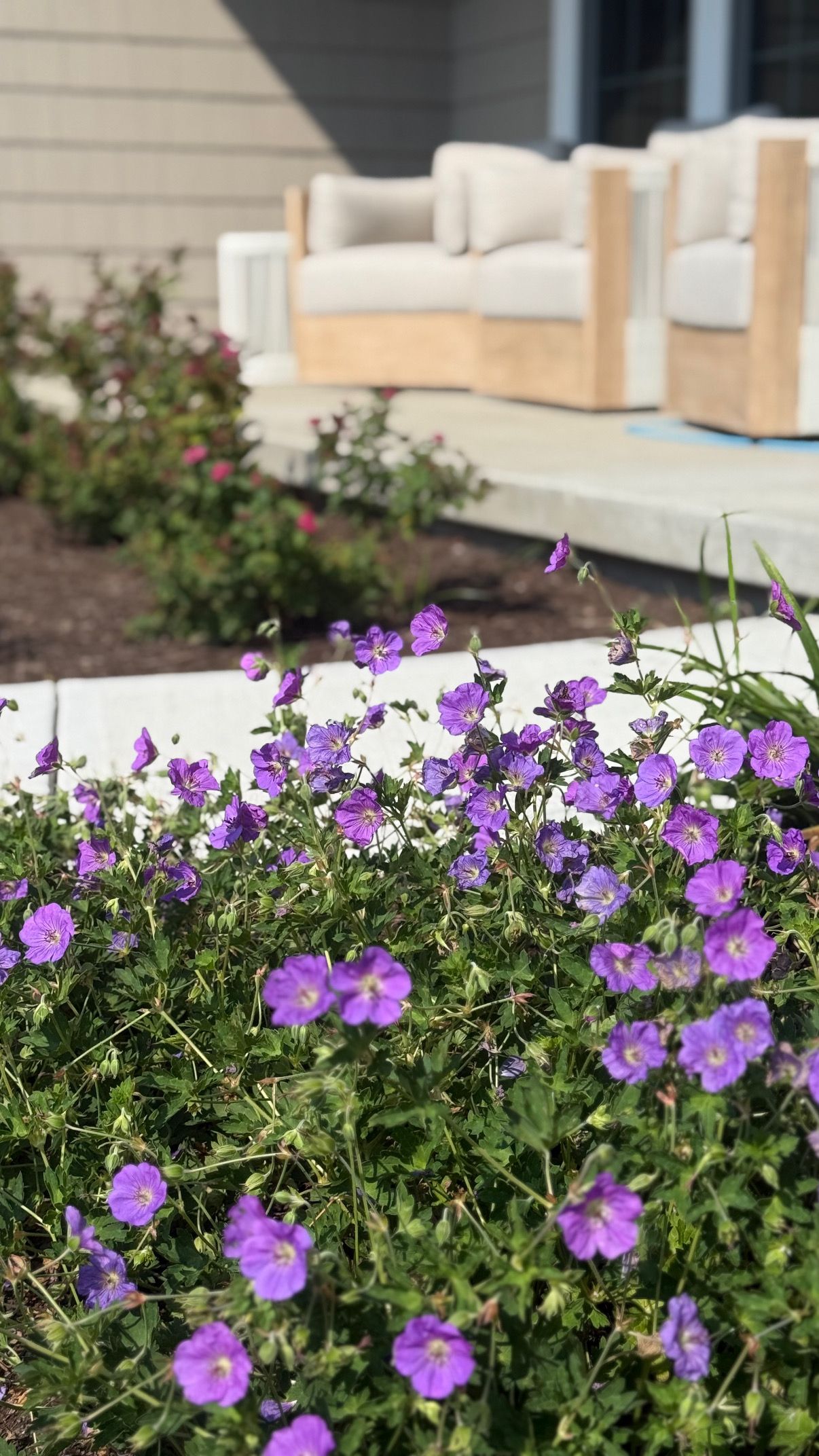  for Hillside Landscape Design in Parma,  OH