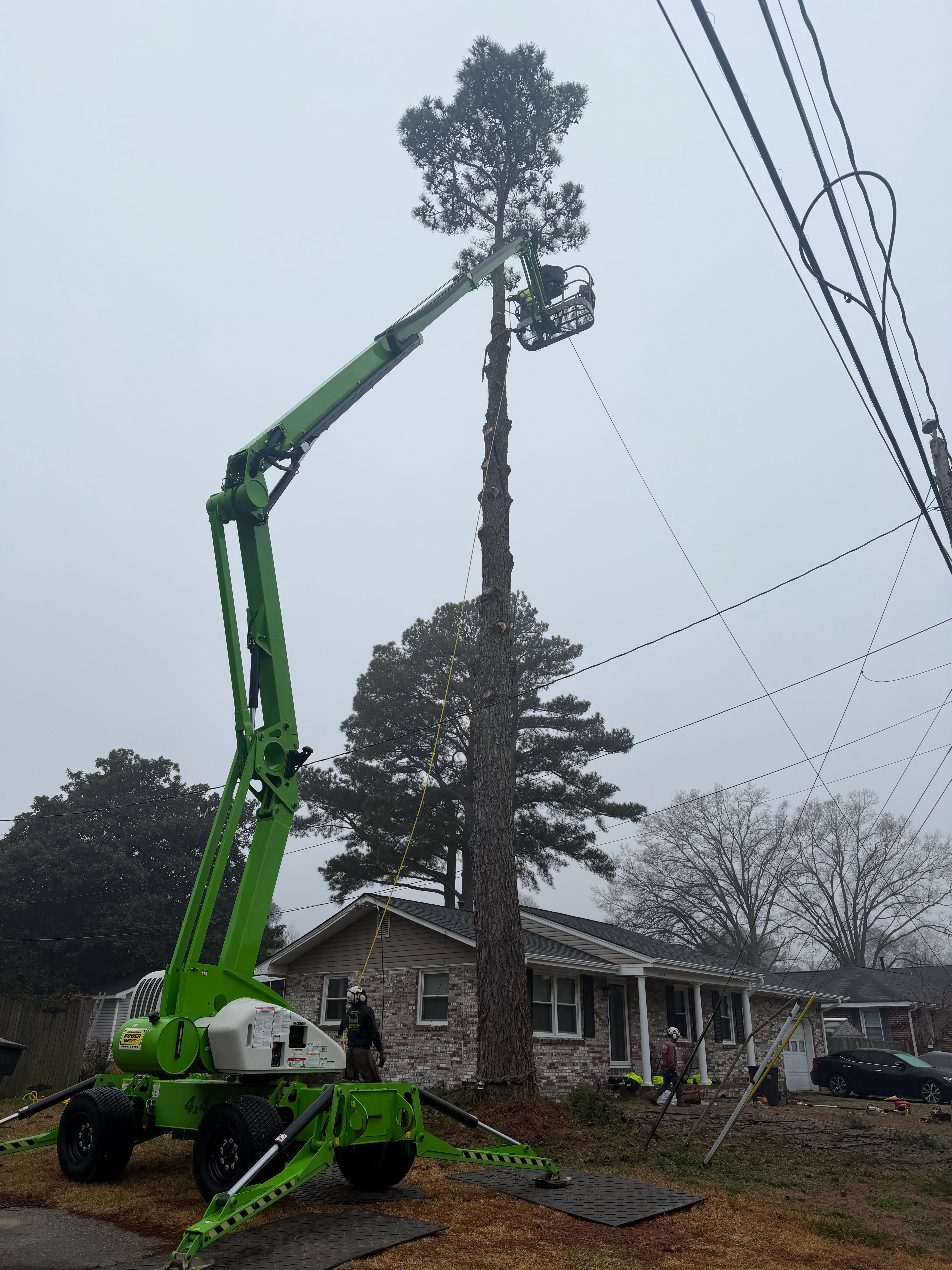  for James River Tree Service in Suffolk, VA