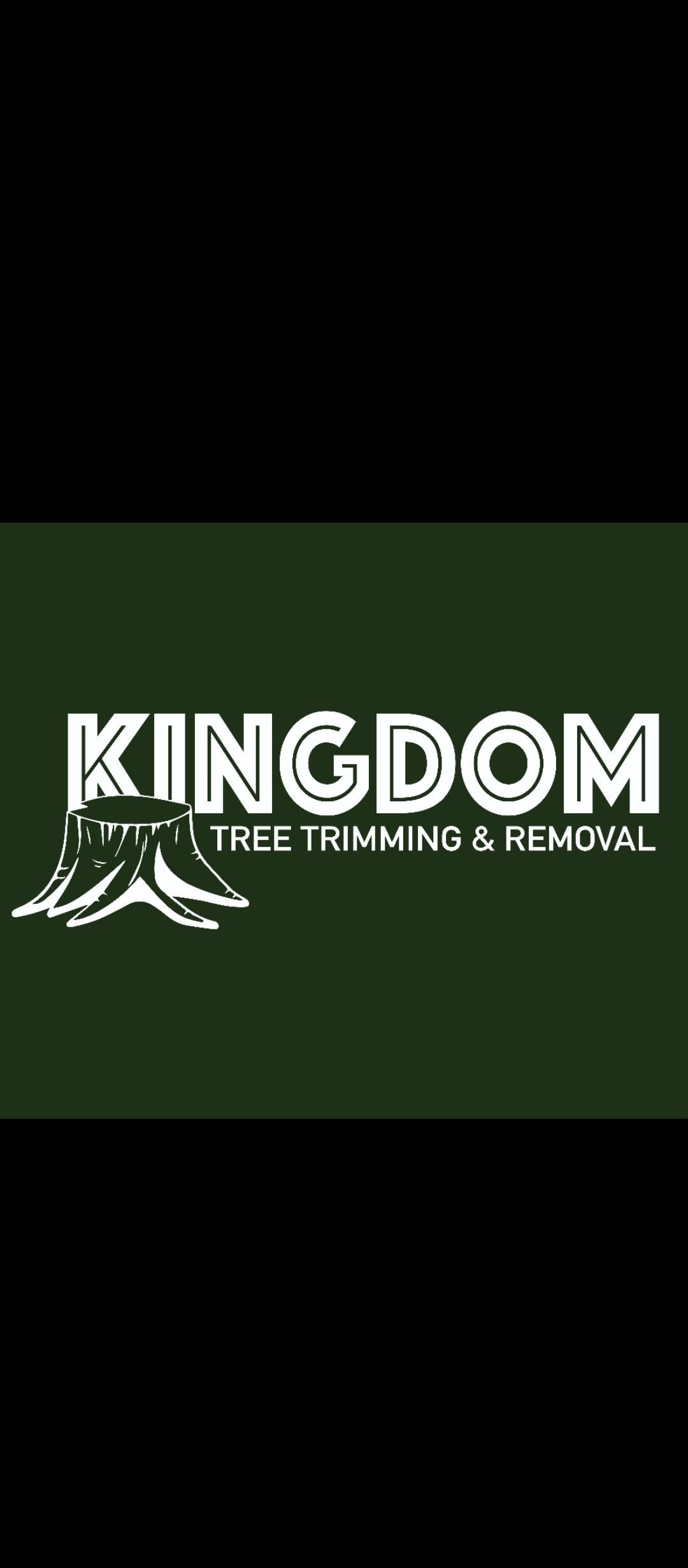  for Kingdom Tree Trimming and Removal LLC in Covington, KY