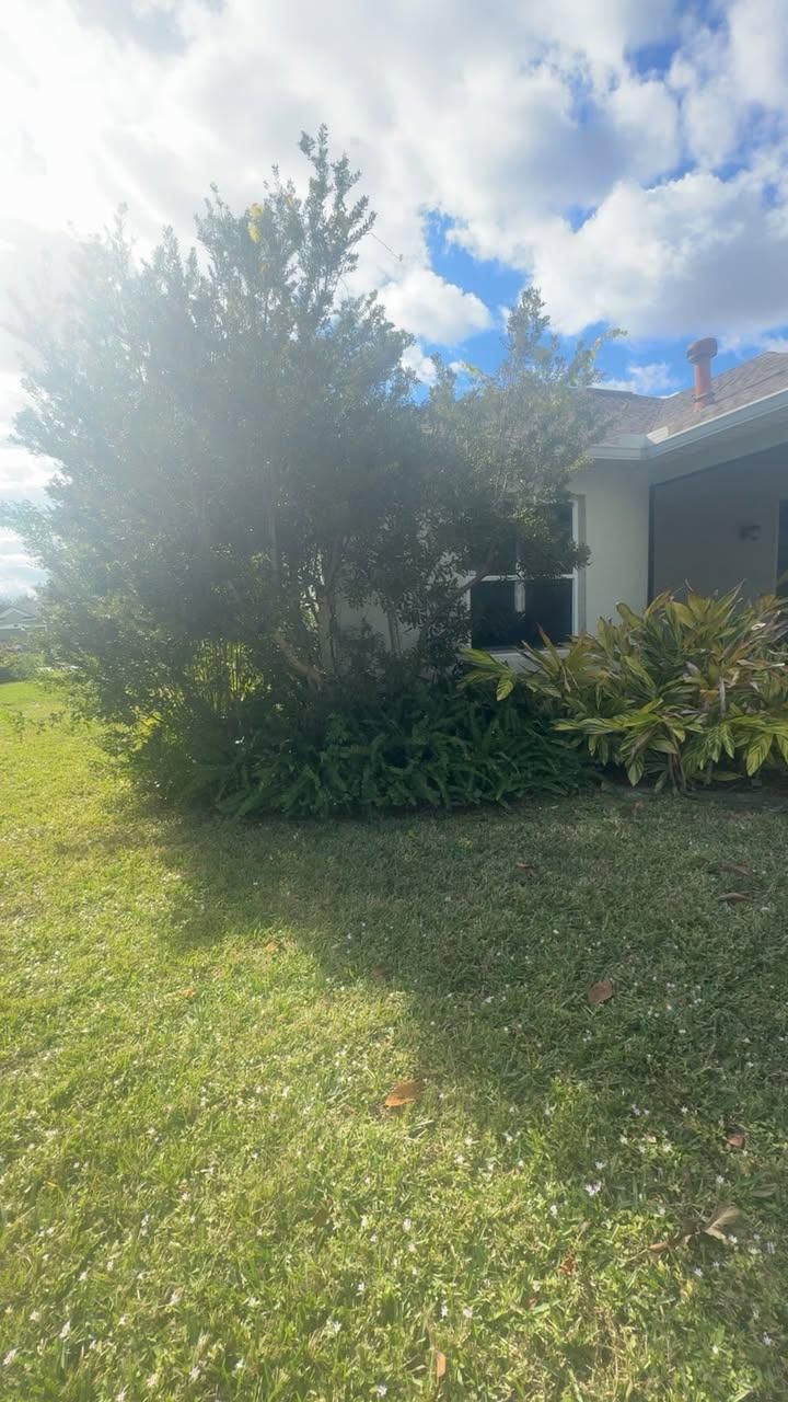  for Space Coast Property Maintenance and Management LLC in Brevard County, FL