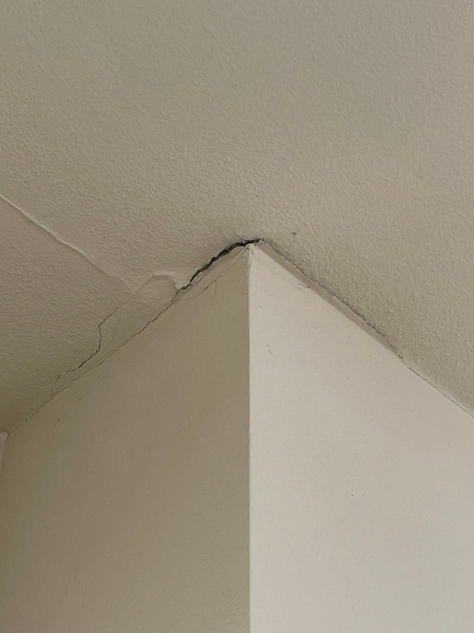  for Tony's Remodeling & Painting in Renton, WA