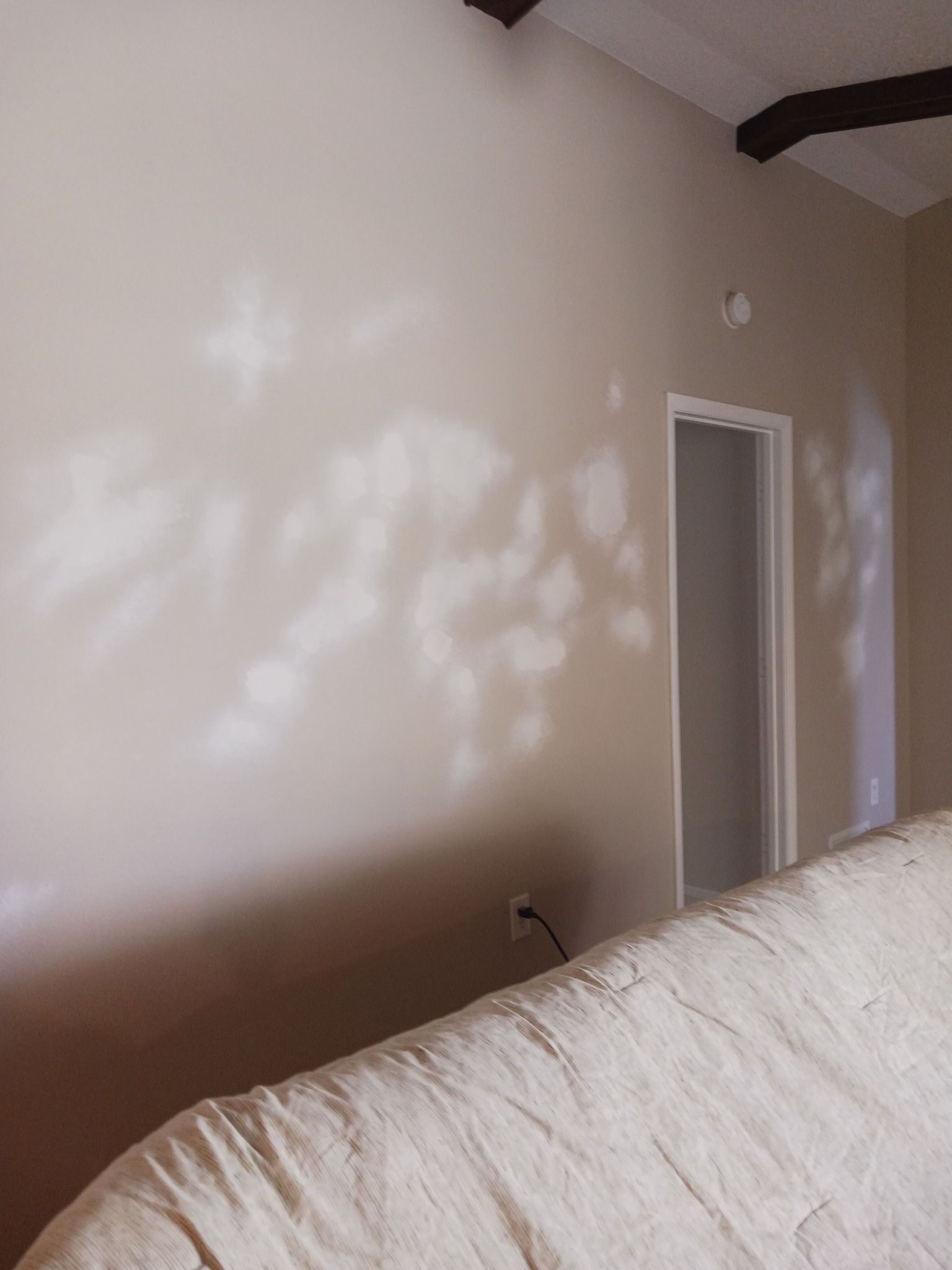  for Perfection Custom Painting LLC in Port Charlotte, FL