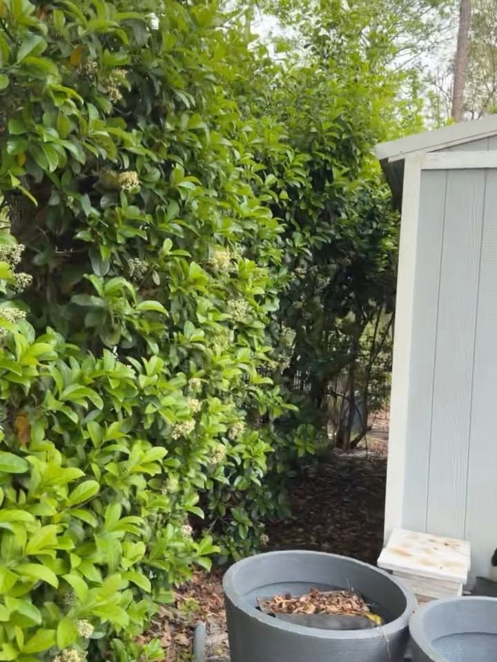  for Whole 9 Yards Services LLC in Green Cove Springs, FL