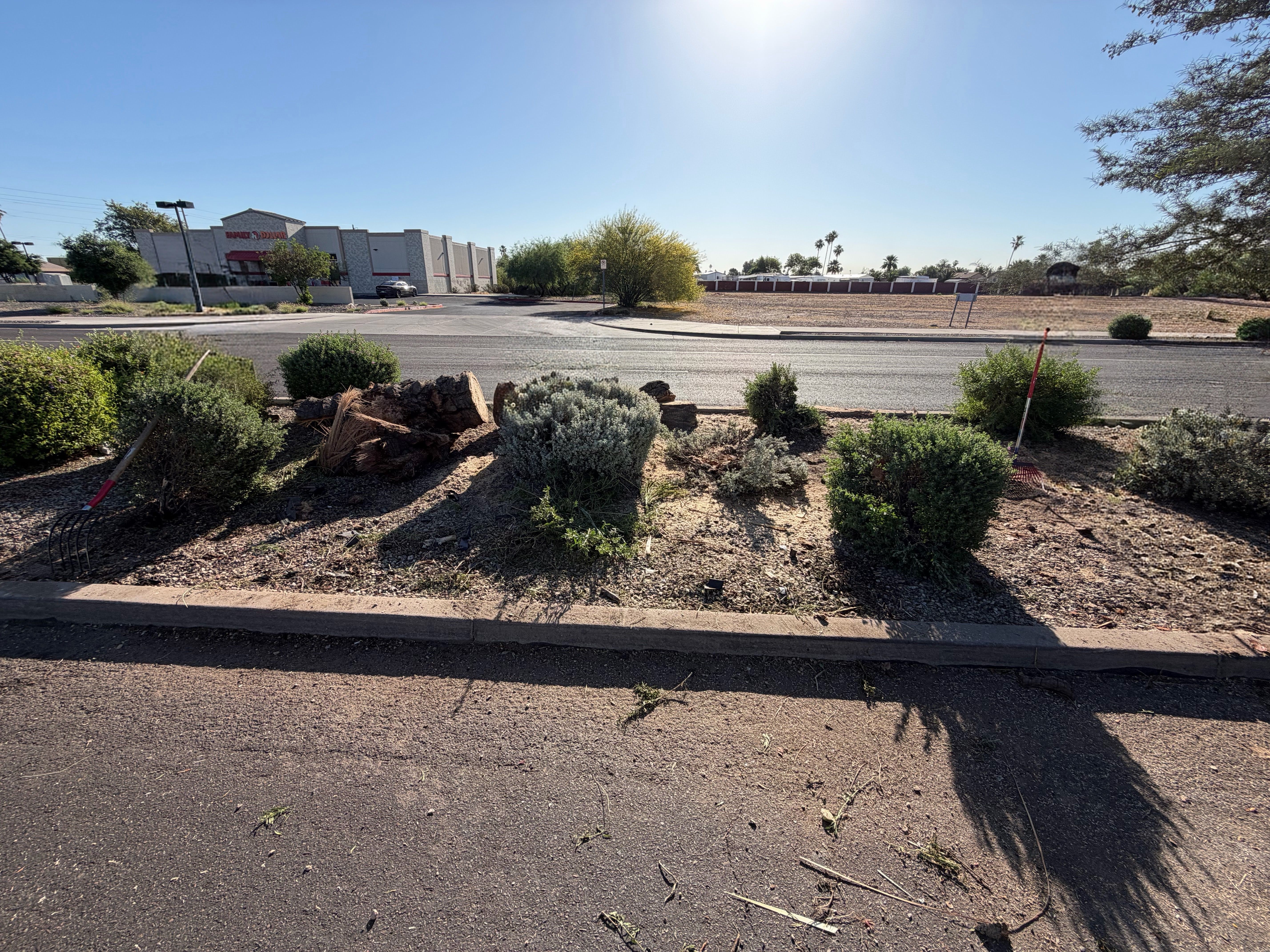 All Photos for Grand Canyon State Landscape Inc. in Surprise, AZ