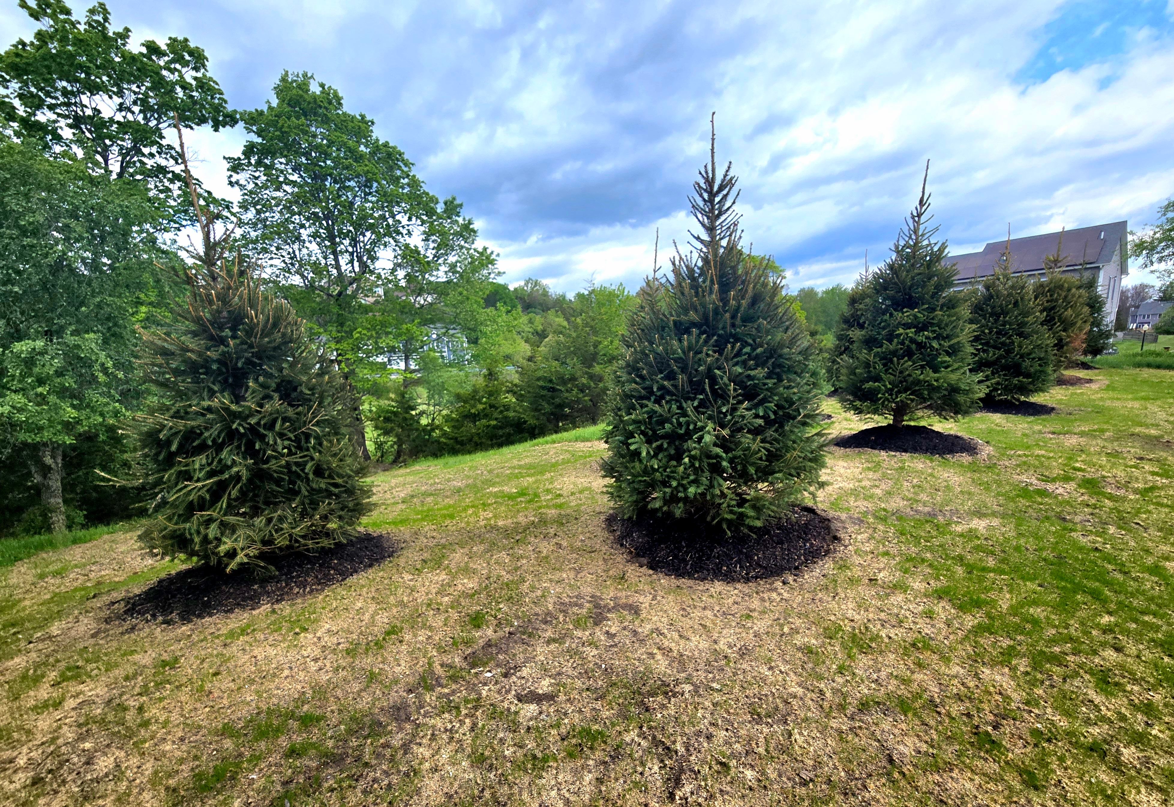  for Tony Monaco Landscaping Inc. in Orange County, NY