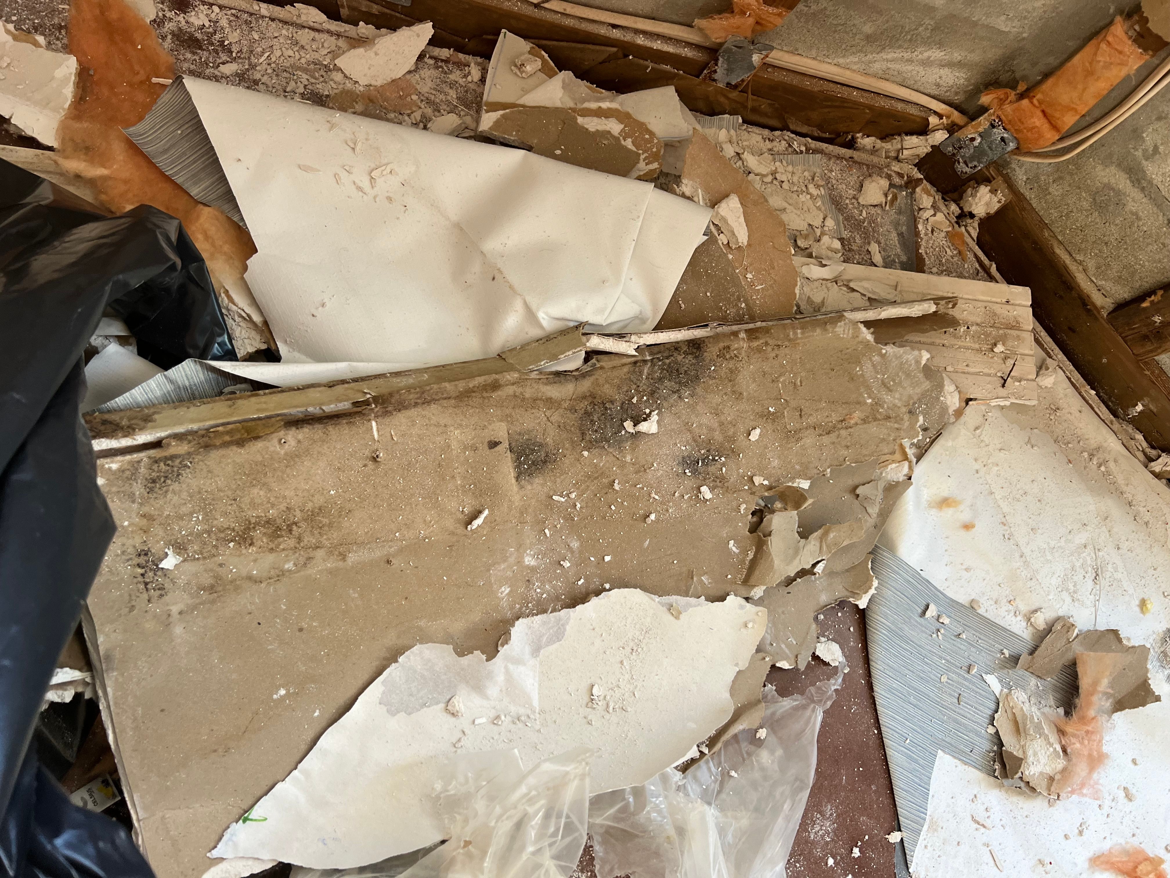  for N&D Restoration Services When Disaster Strikes, We Come In in Cape Coral,  FL